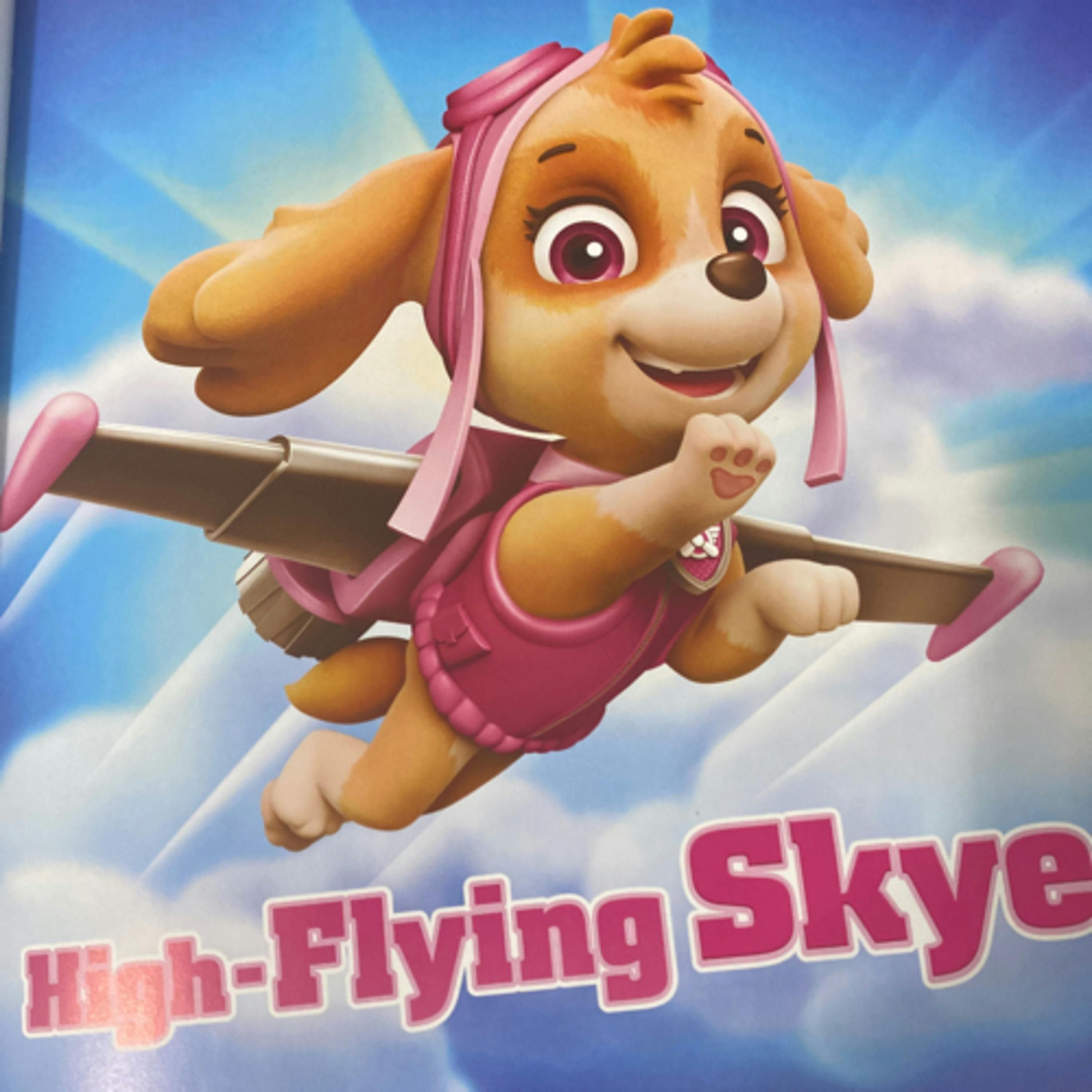 Paw Patrol Stories to Share: High-Flying Skye