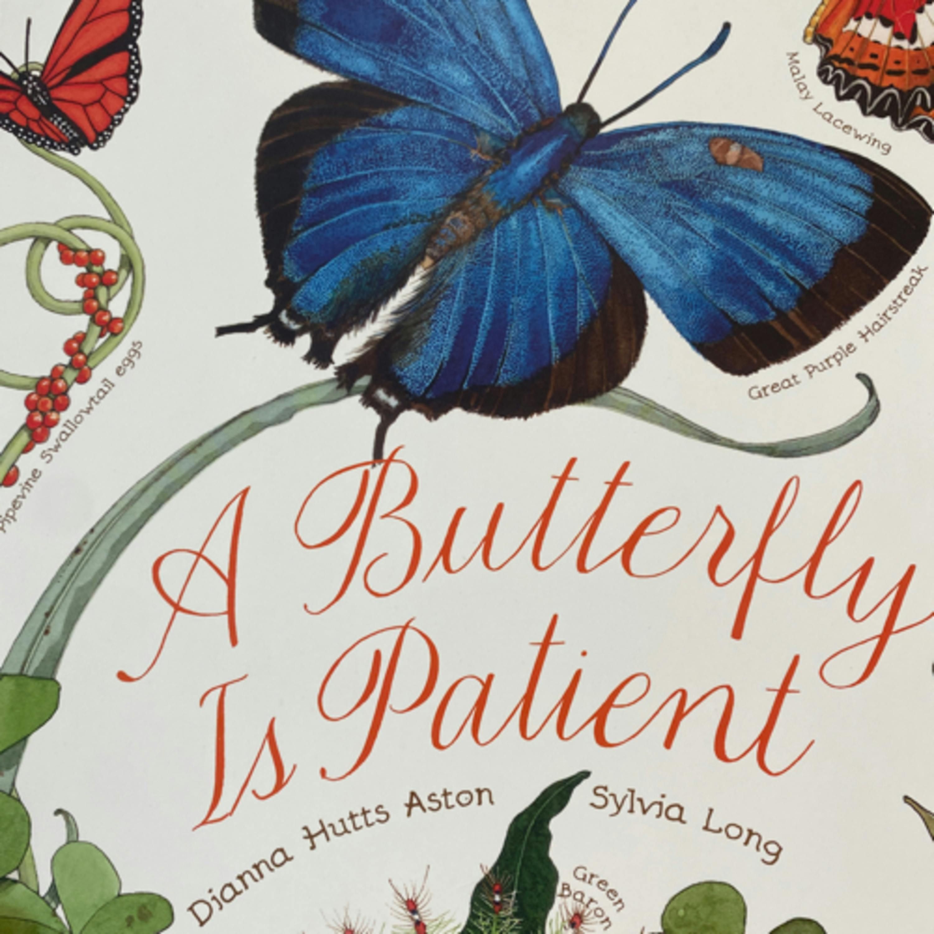 A Butterfly is Patient