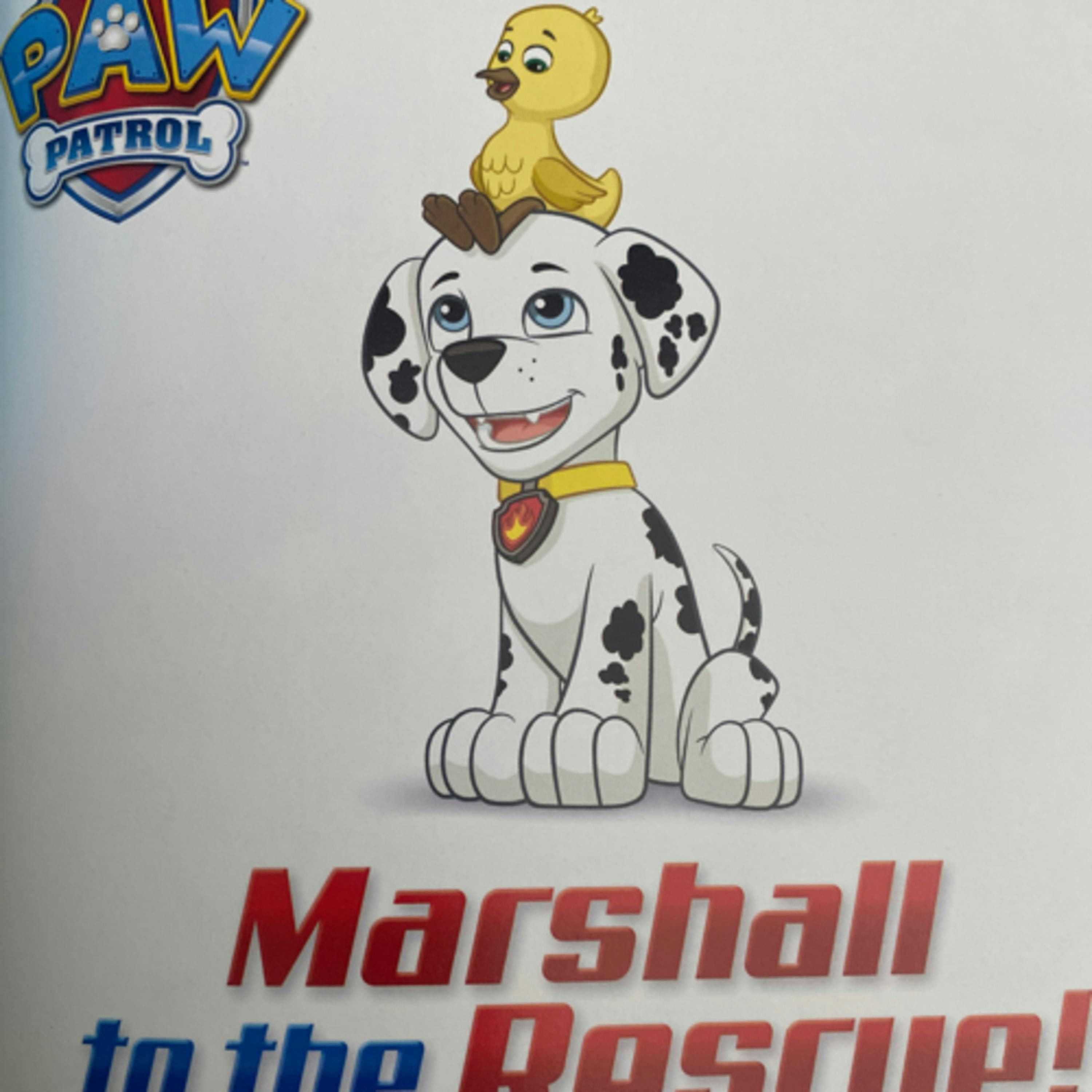 Paw Patrol: Marshall to the Rescue