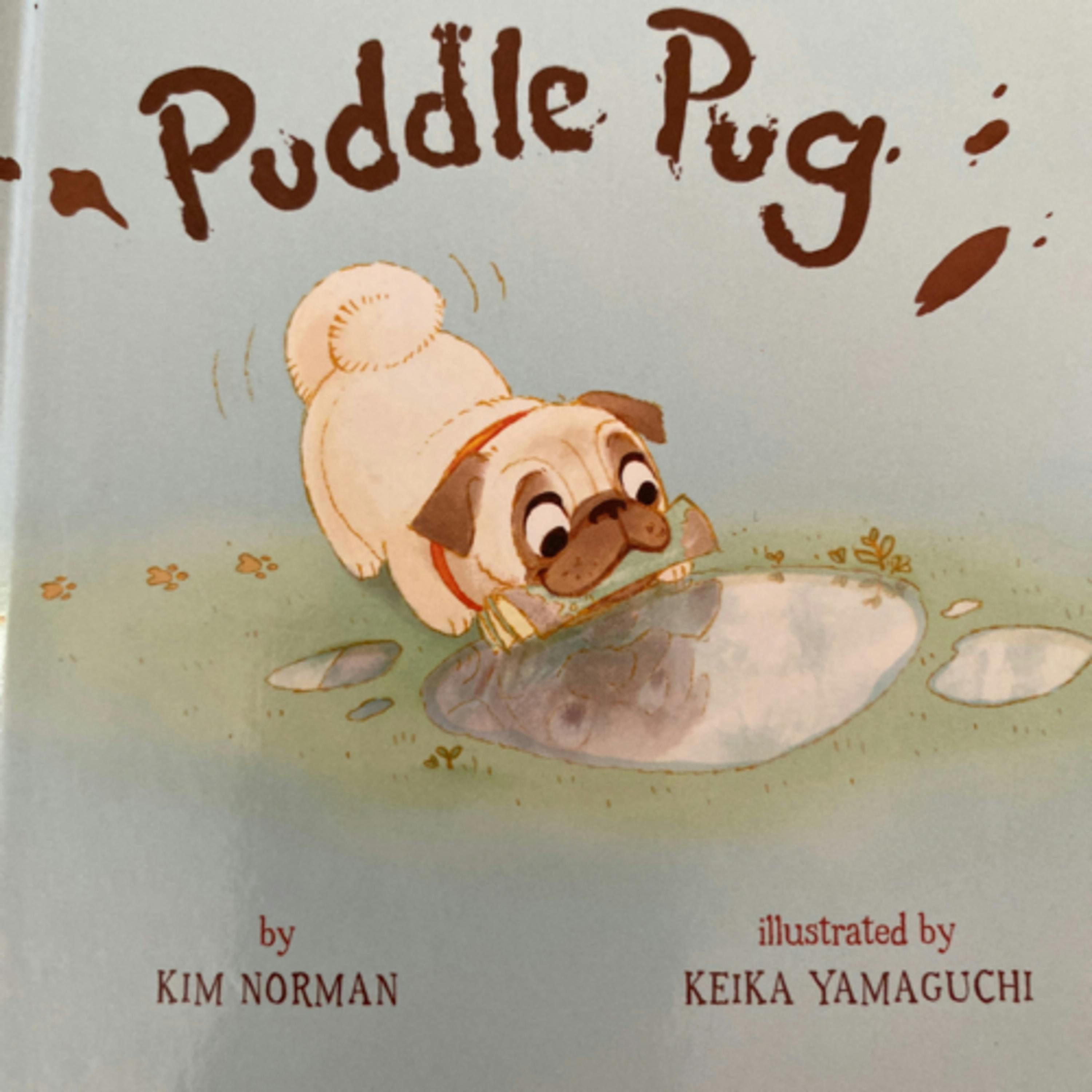 Puddle Pug