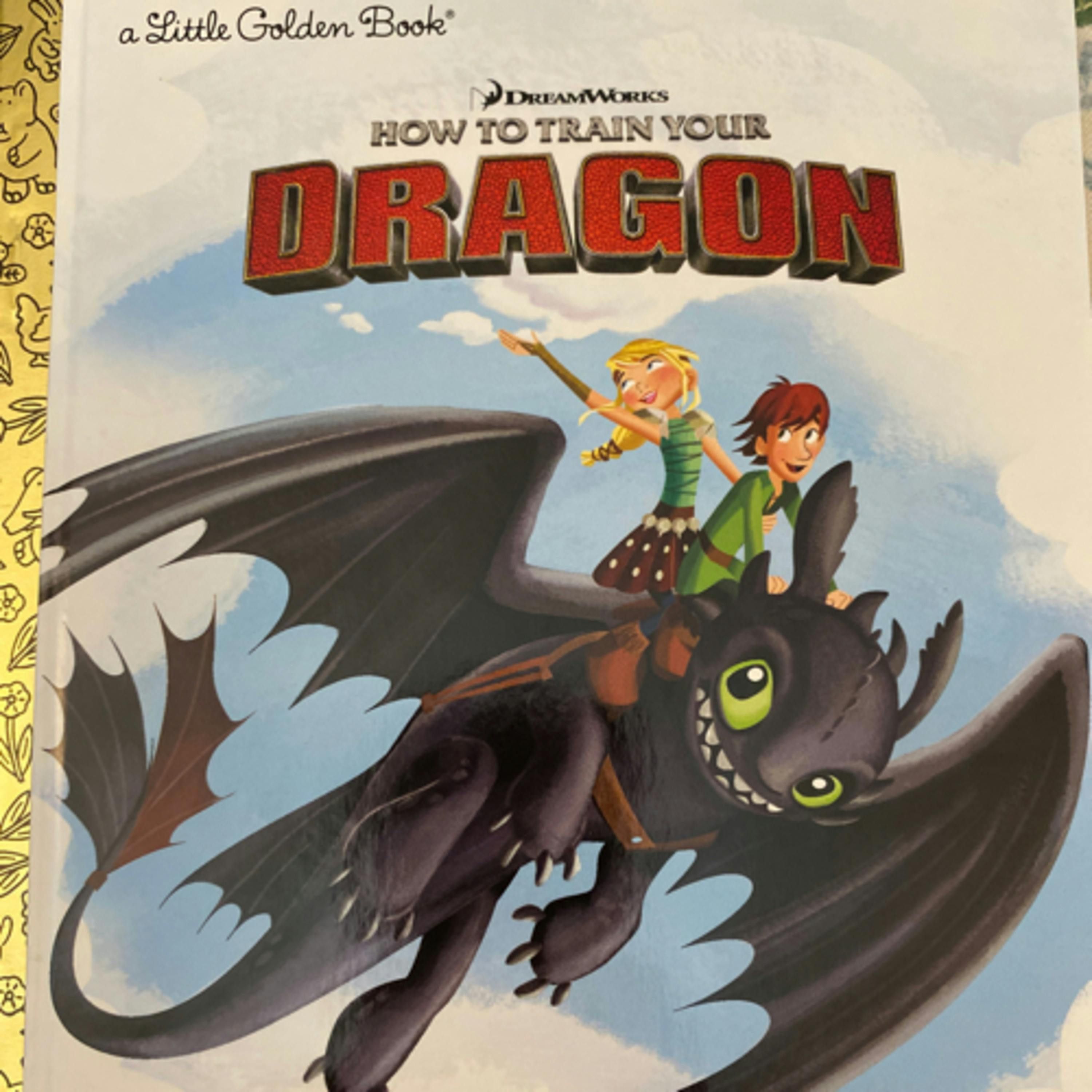 How to Train Your Dragon