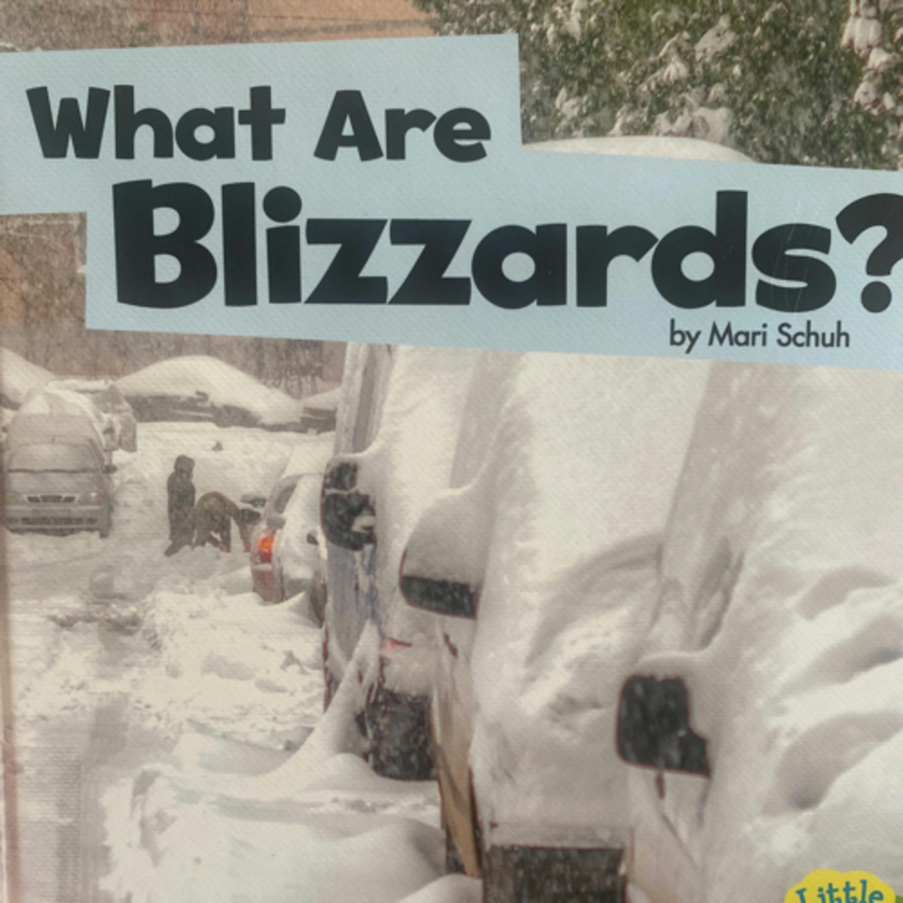 What Are Blizzards?