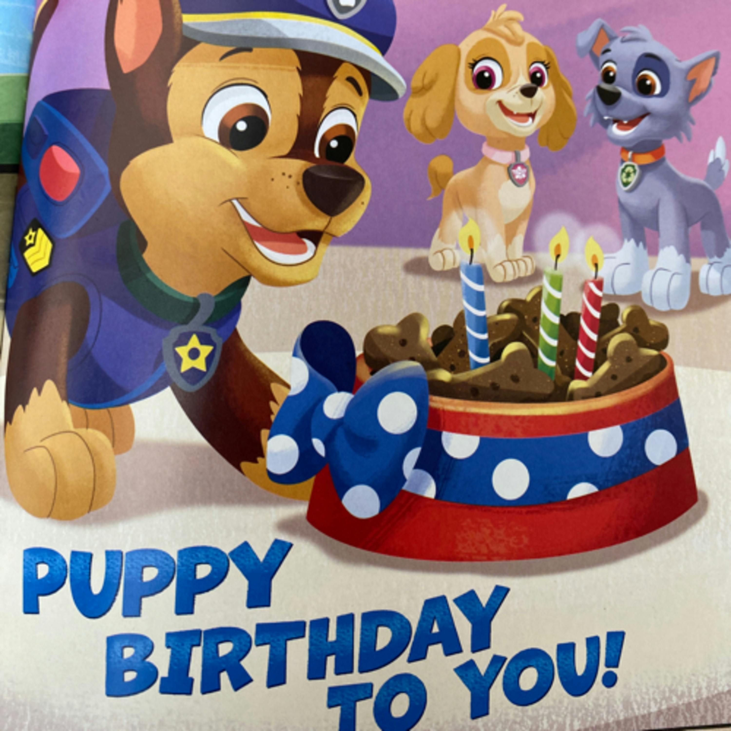 Little Golden Book Collection Paw Patrol - Puppy Birthday