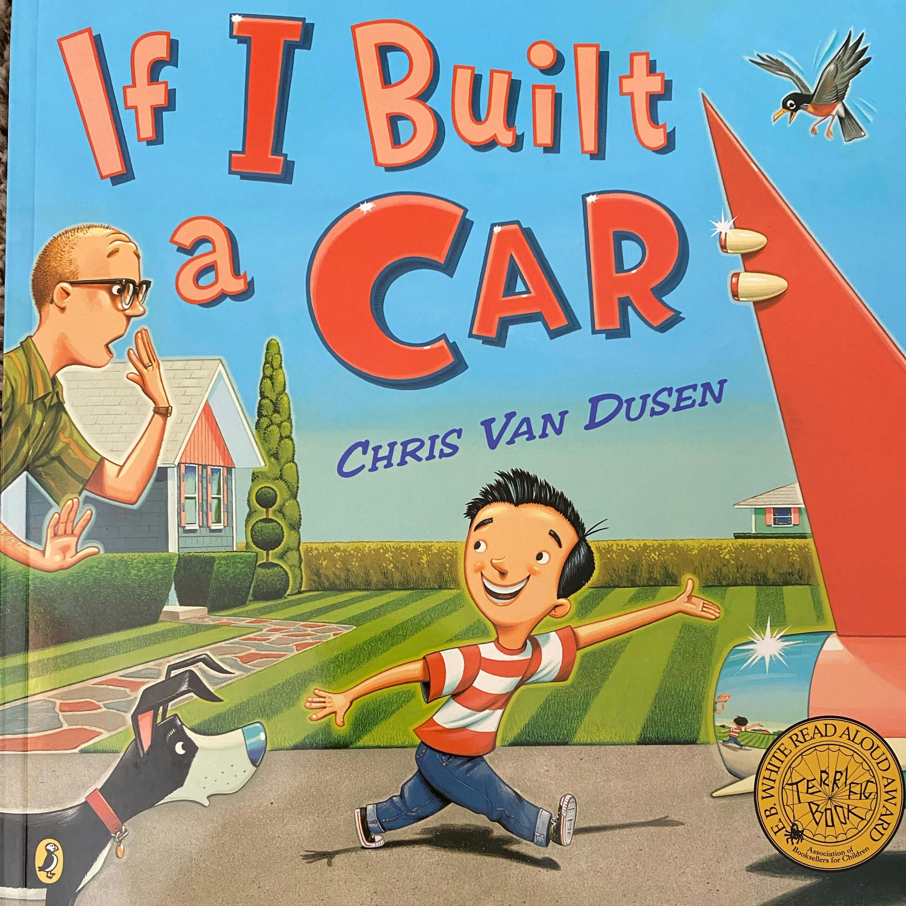 If I Built a Car