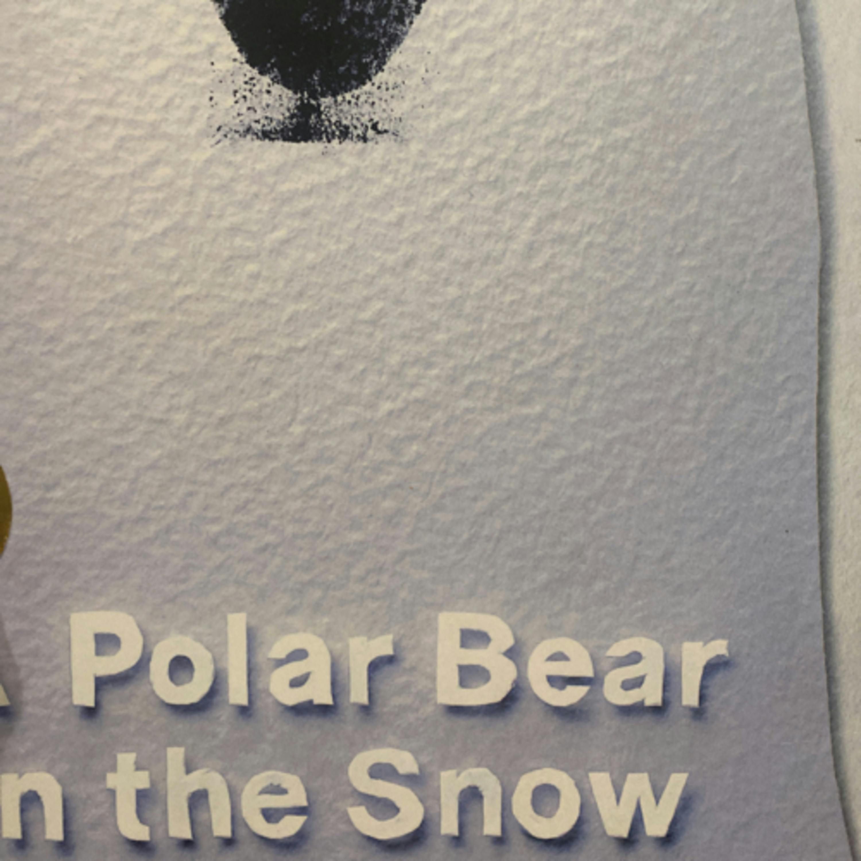 A Polar Bear in the Snow