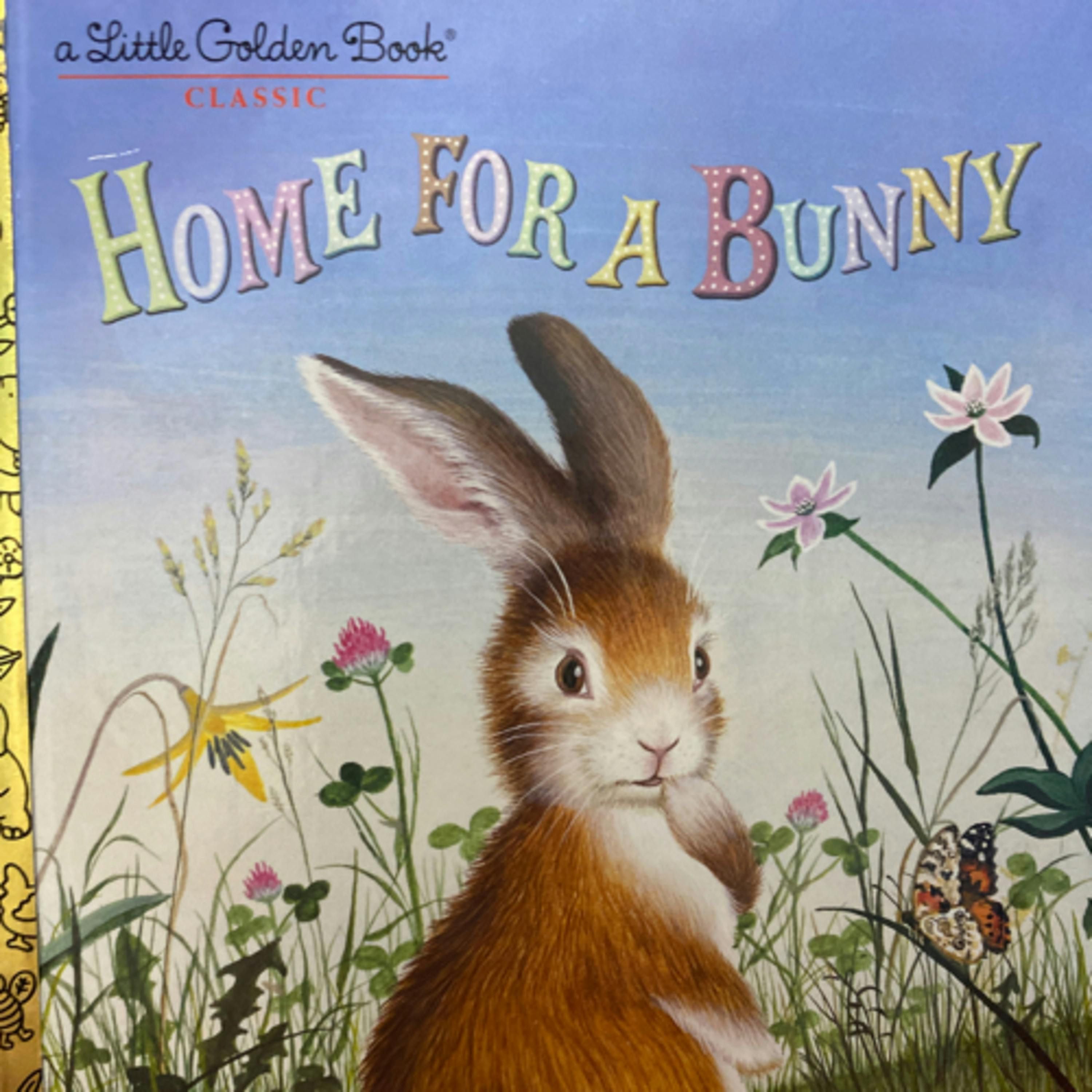 Home for a Bunny (A Little Golden Book)