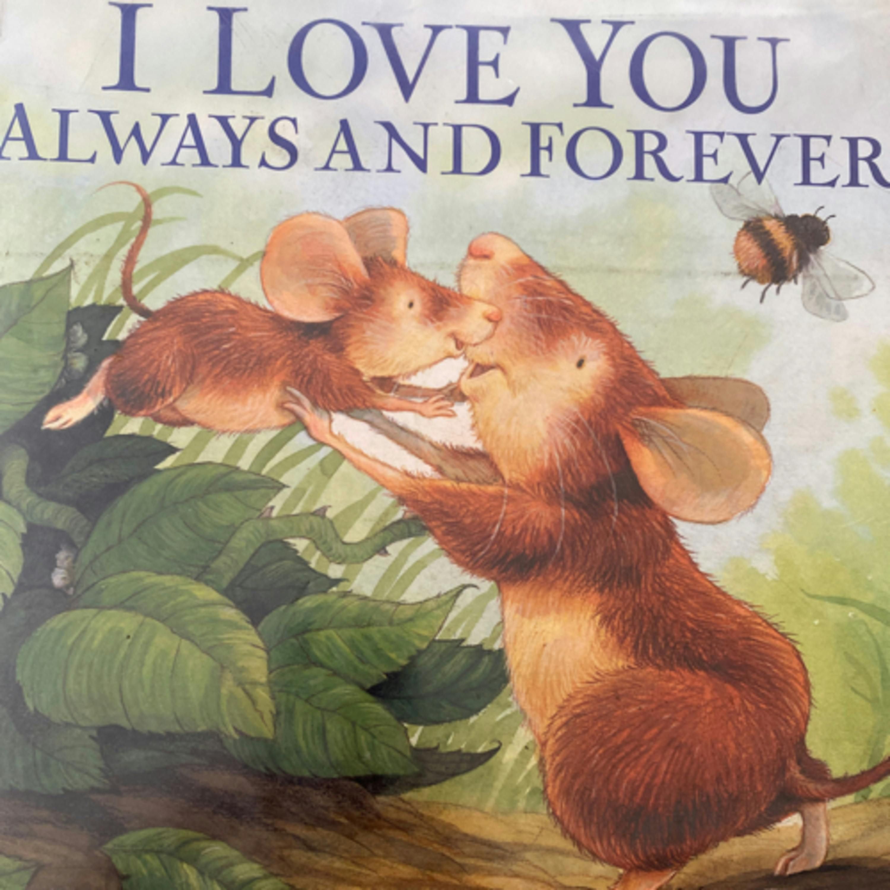I Love You Always and Forever