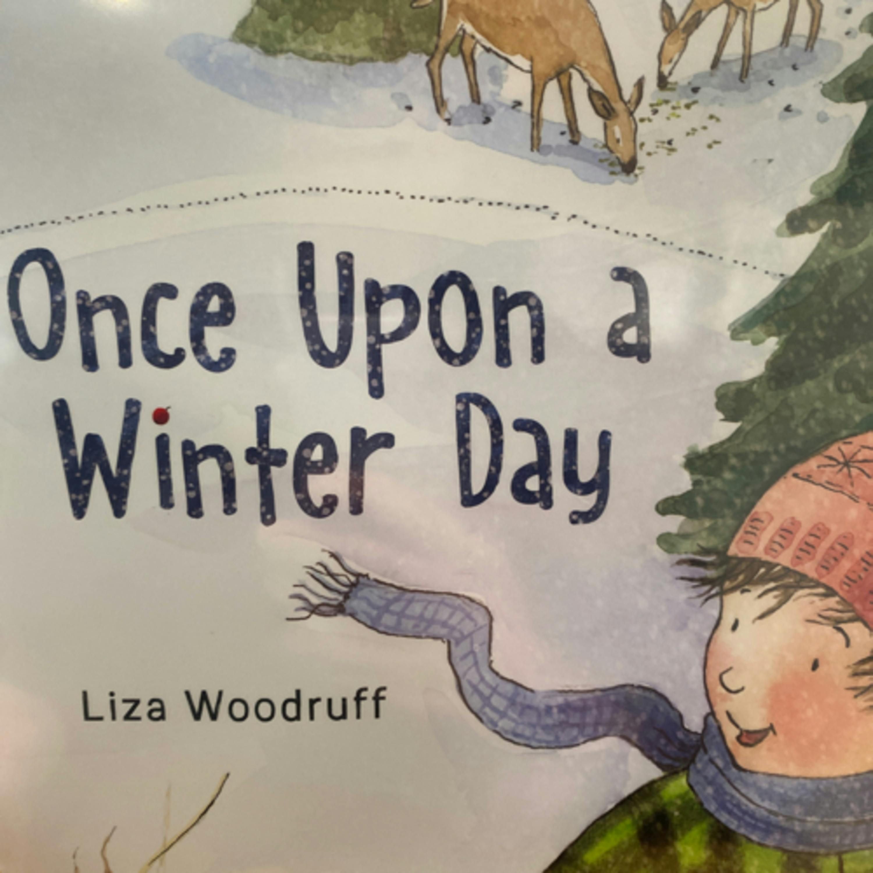 Once Upon a Winter Day