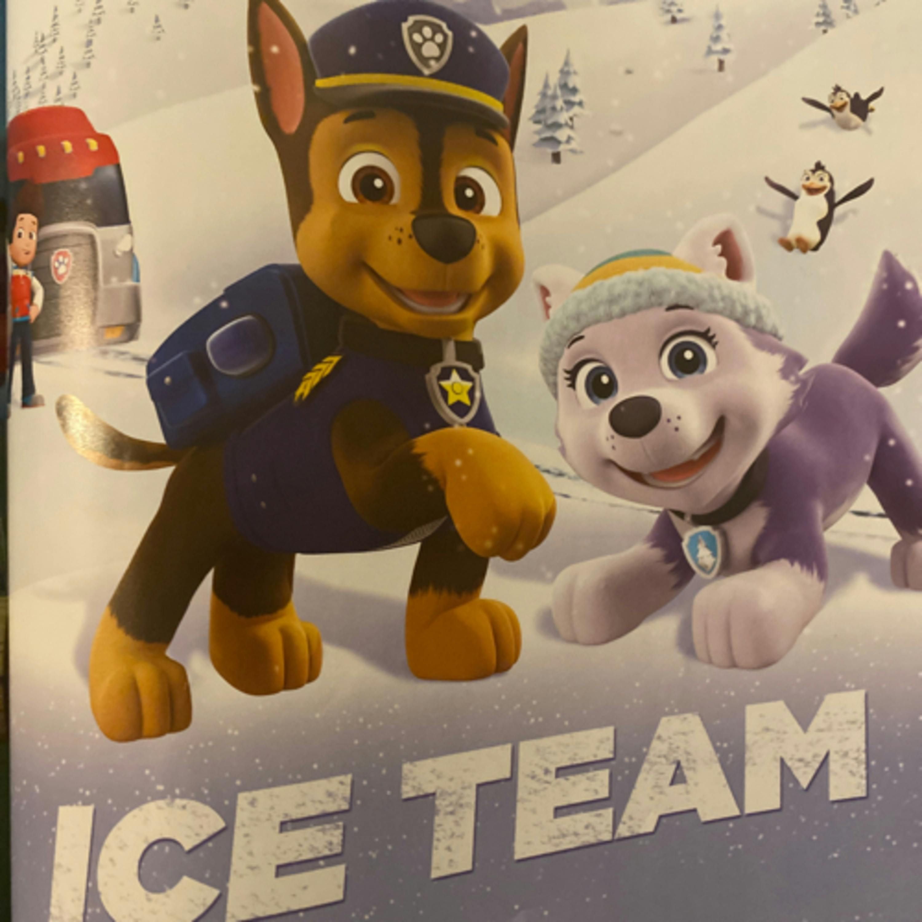 Paw Patrol Stories to Share: Ice Team
