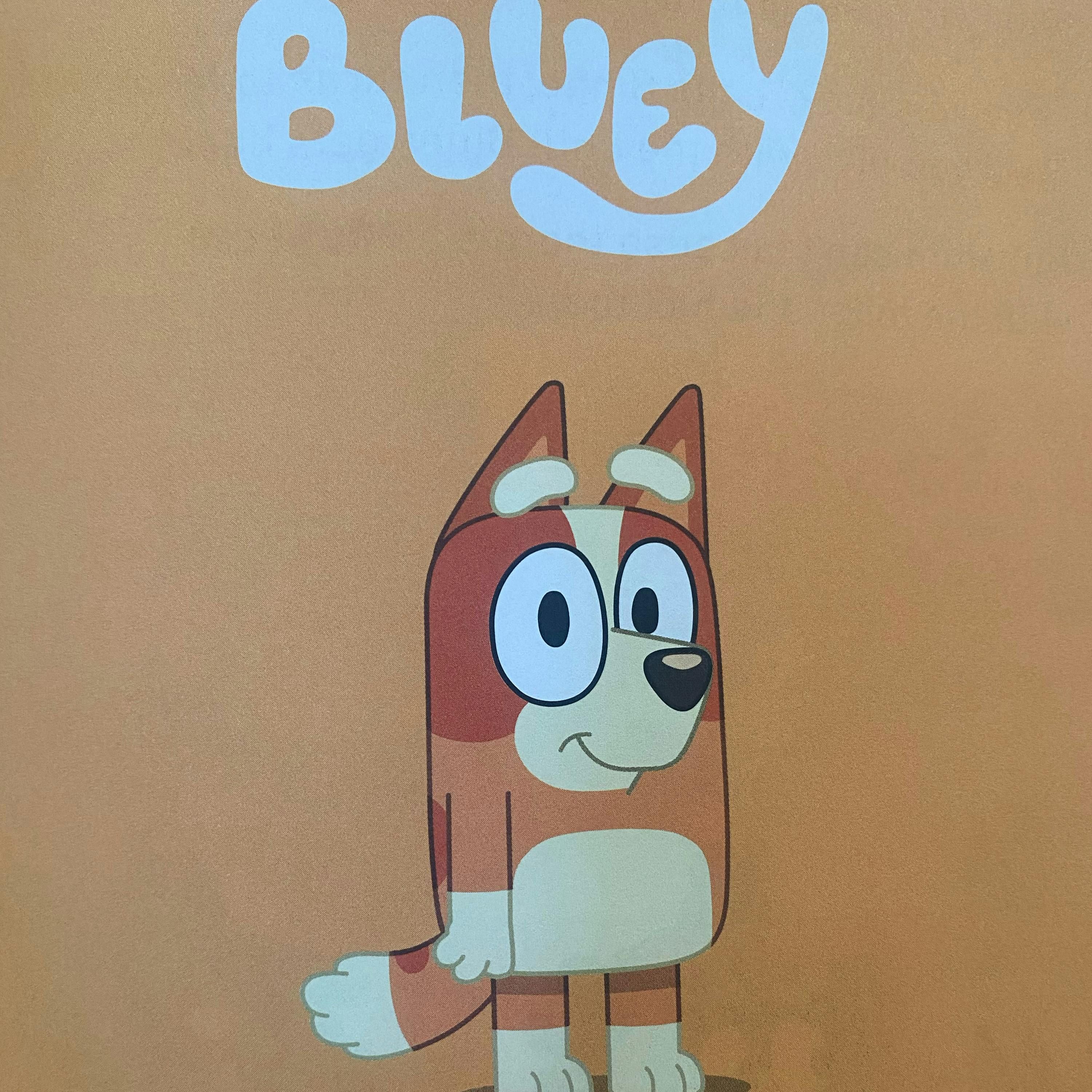 Bluey 5 Minute Stories: Bingo