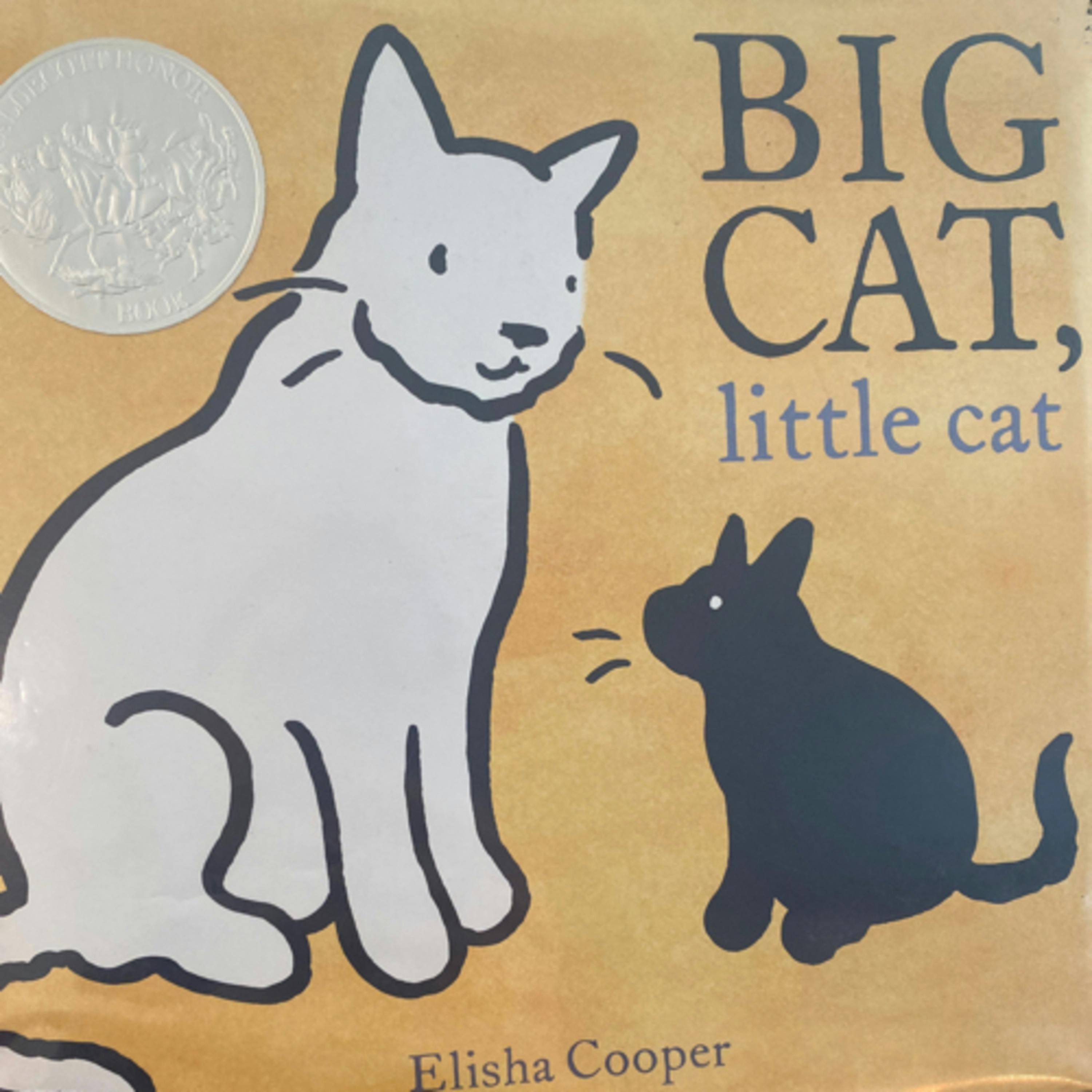 Big Cat, Little Cat
