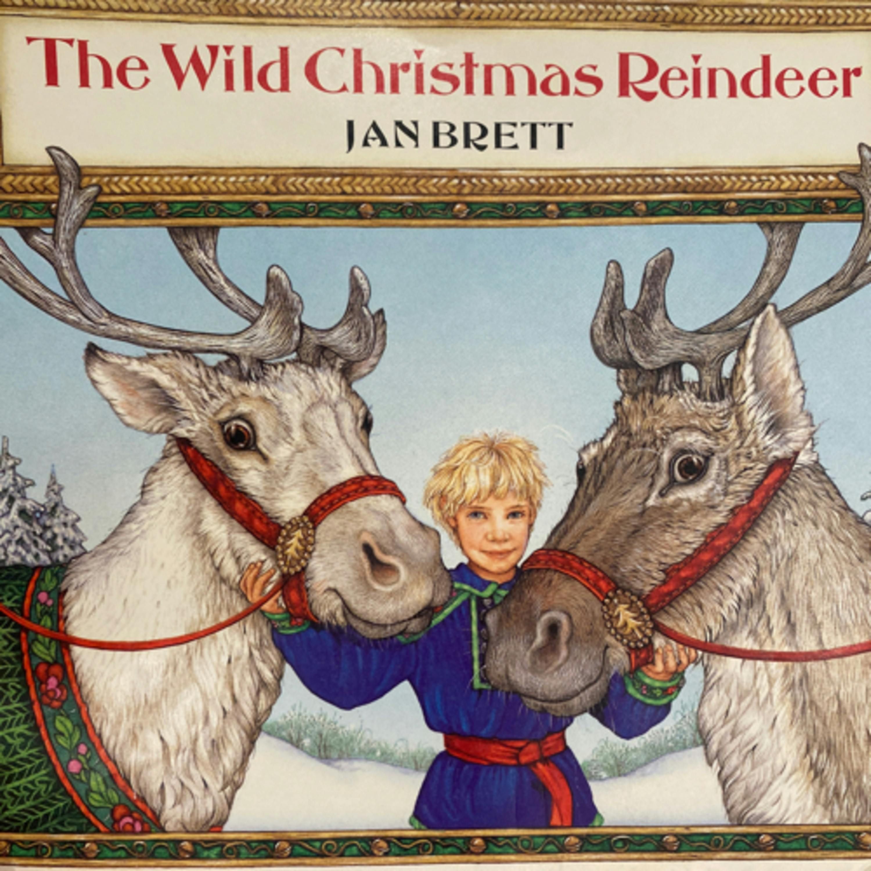 The Wild Christmas Reindeer