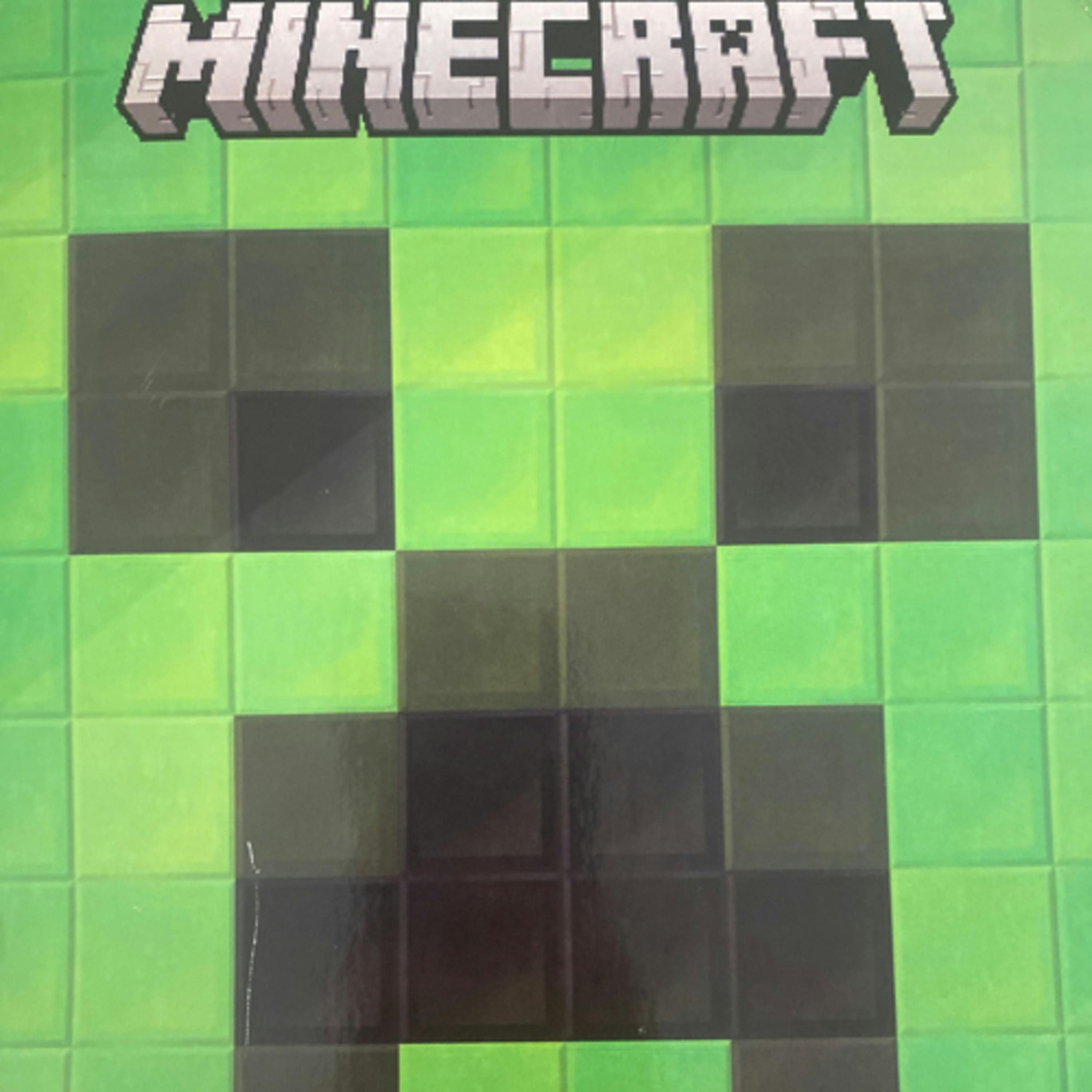 Minecraft: Beware the Creeper!