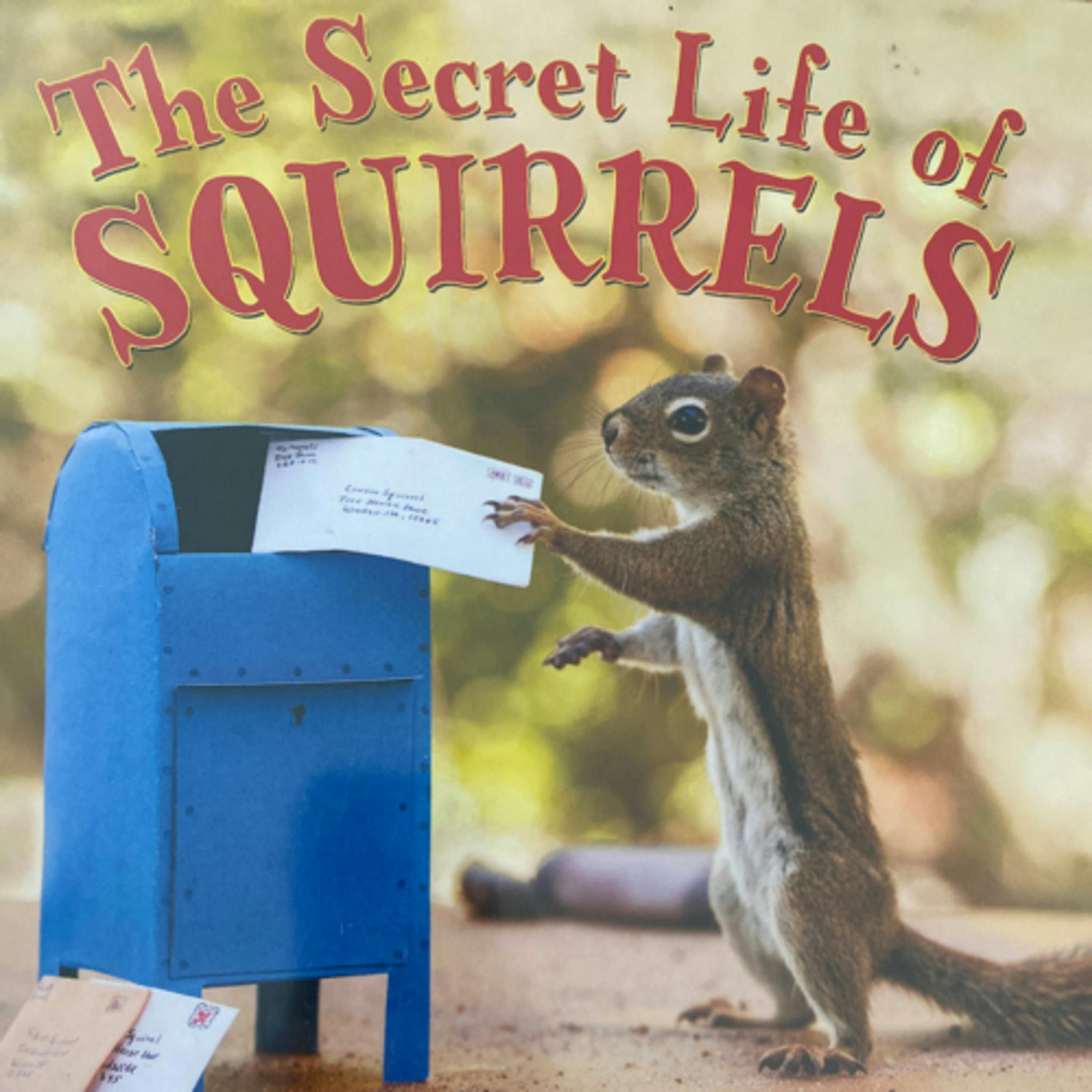 The Secret Life of Squirrels