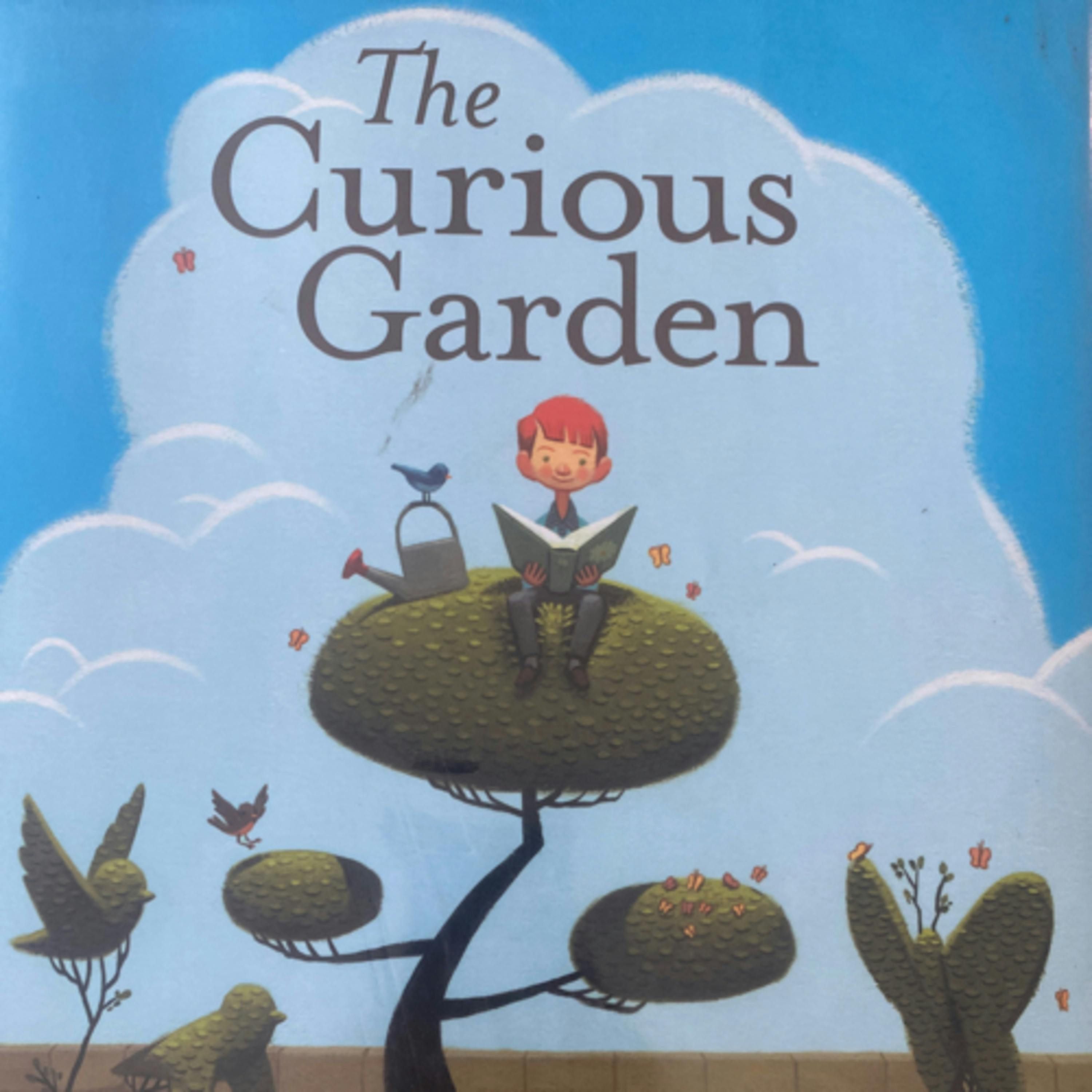 The Curious Garden