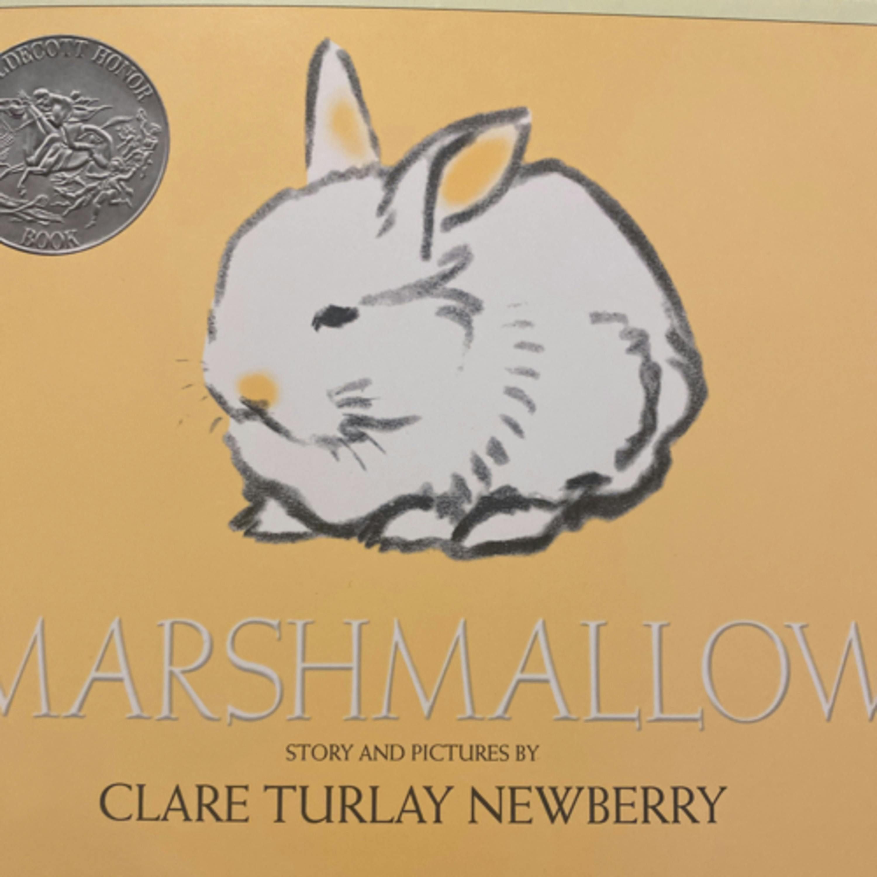 Marshmallow