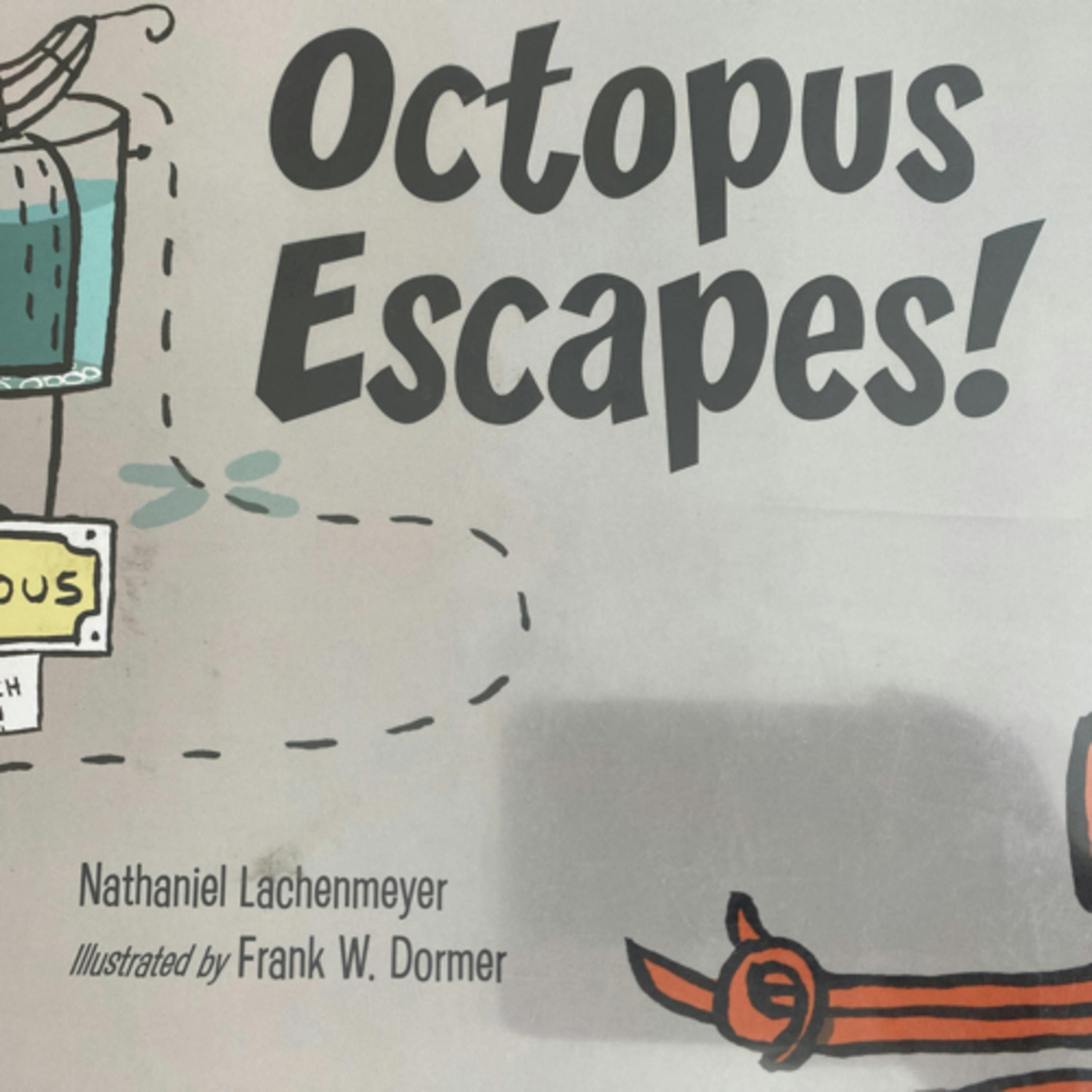 Octopus Escapes!