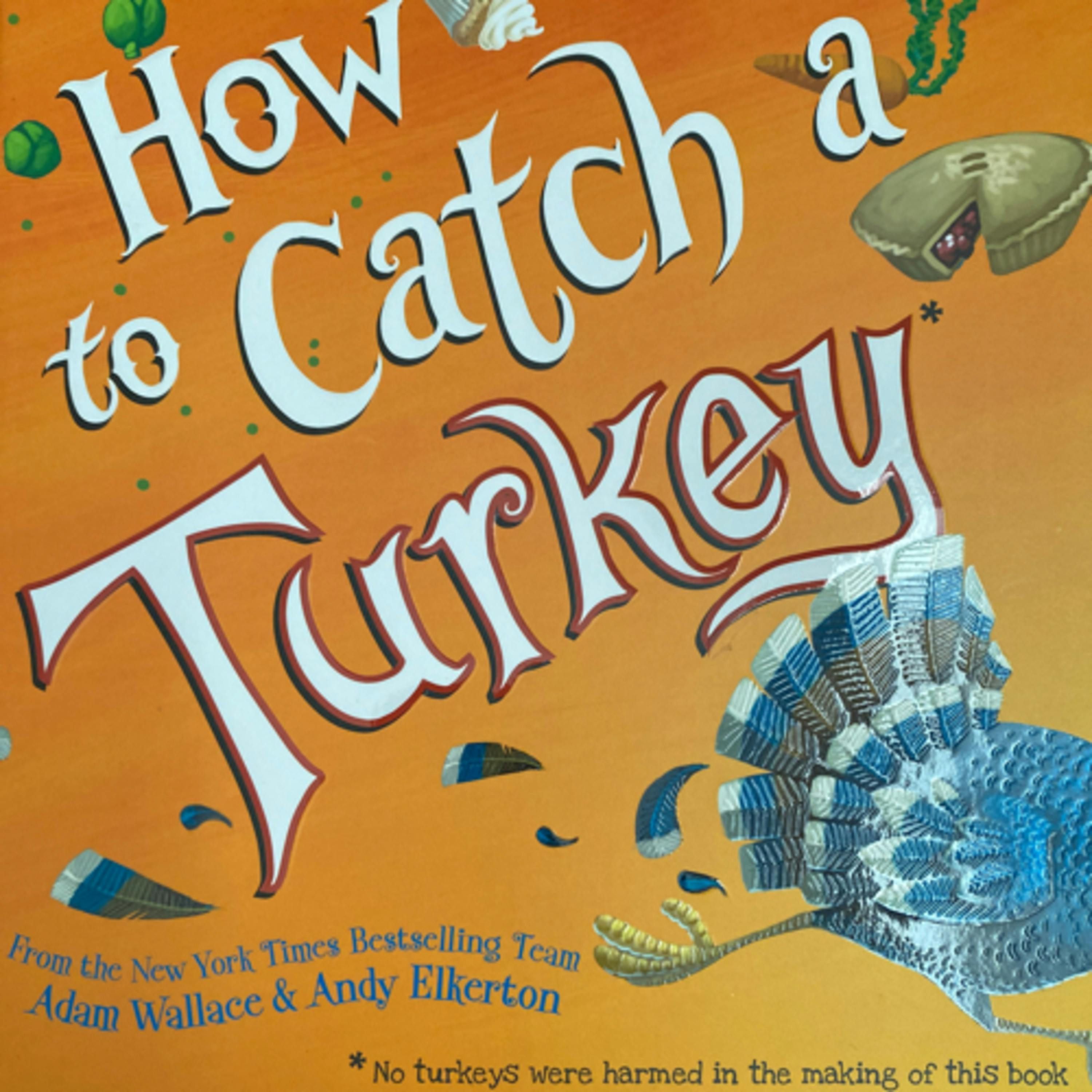 How to catch a Turkey