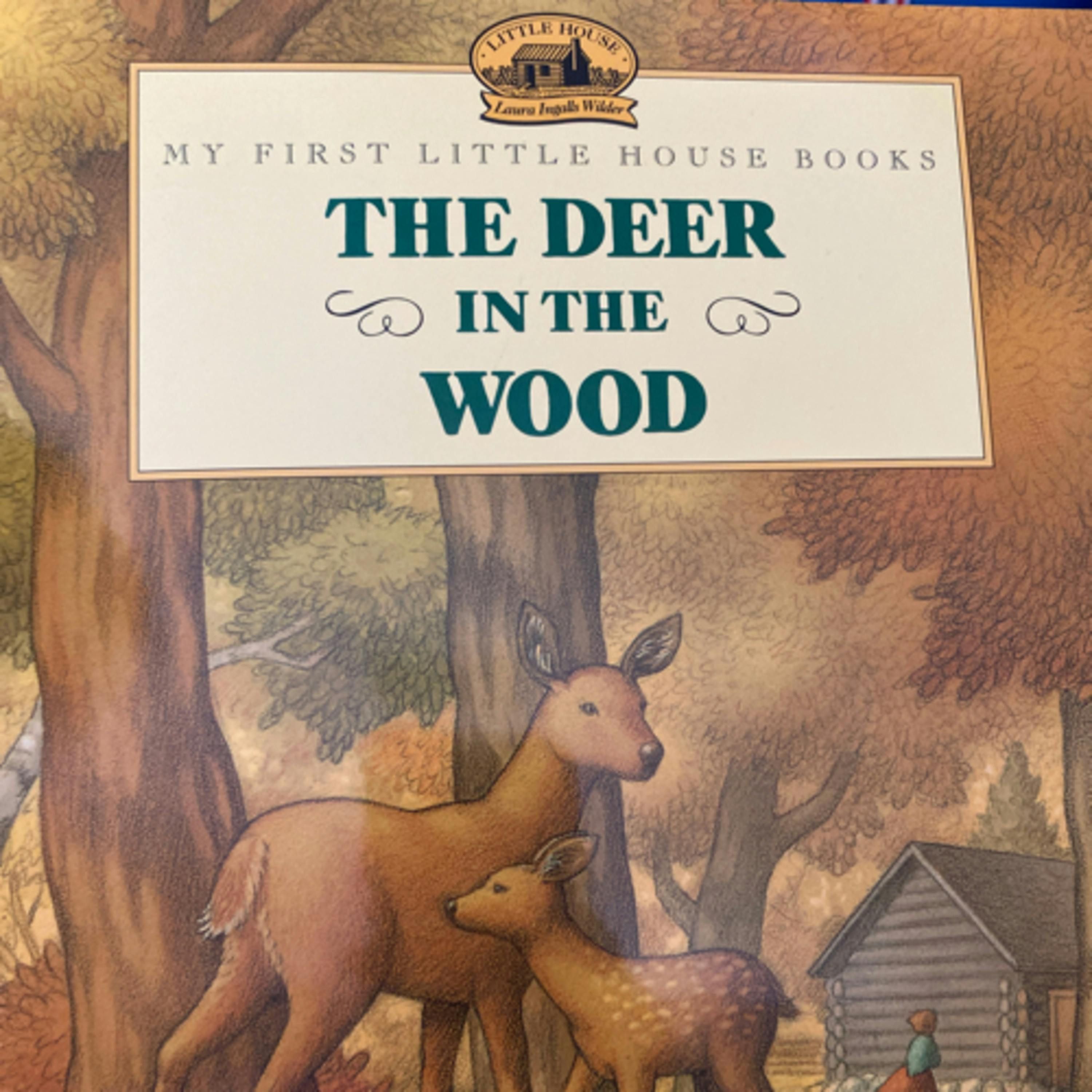 My First Little House Books: The Deer in the Wood