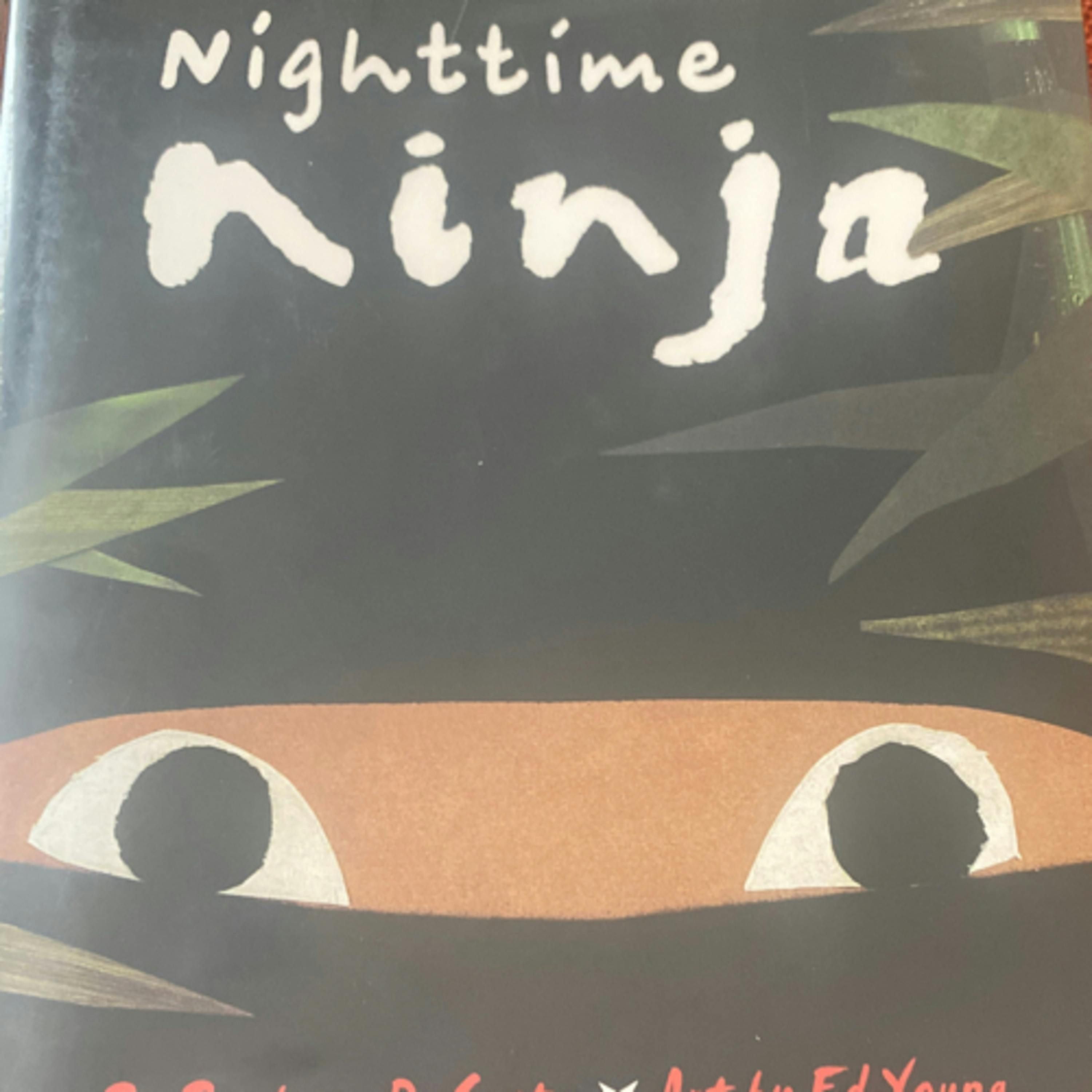 Nighttime Ninja