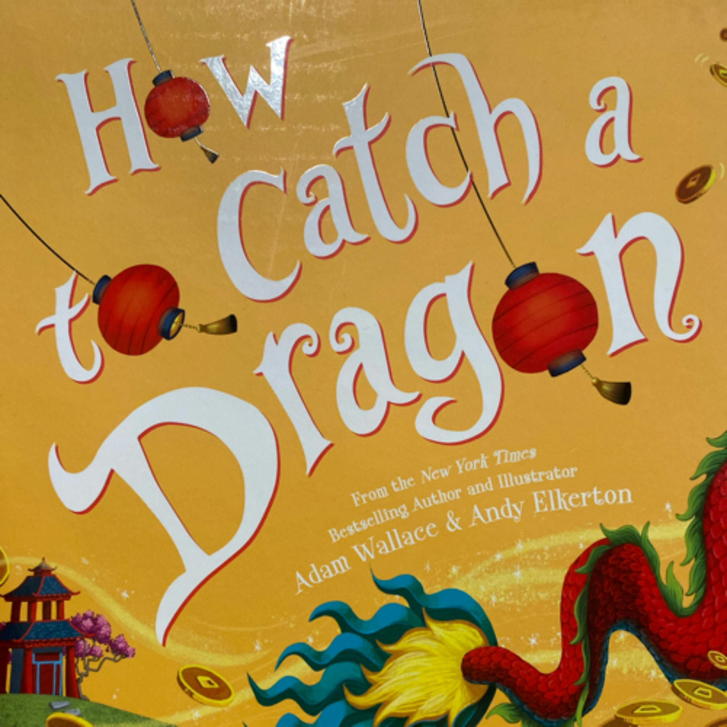 How to Catch a Dragon
