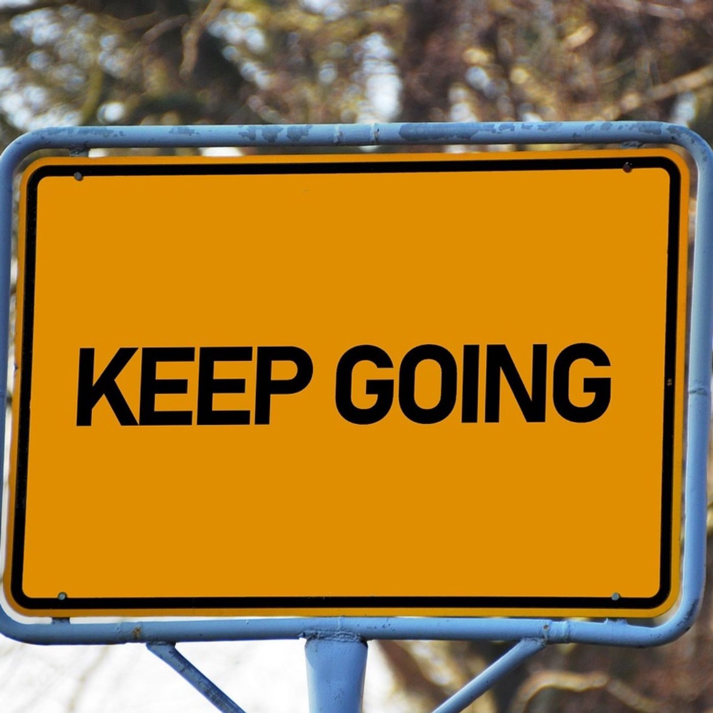 The Ultimate Indicator of Success