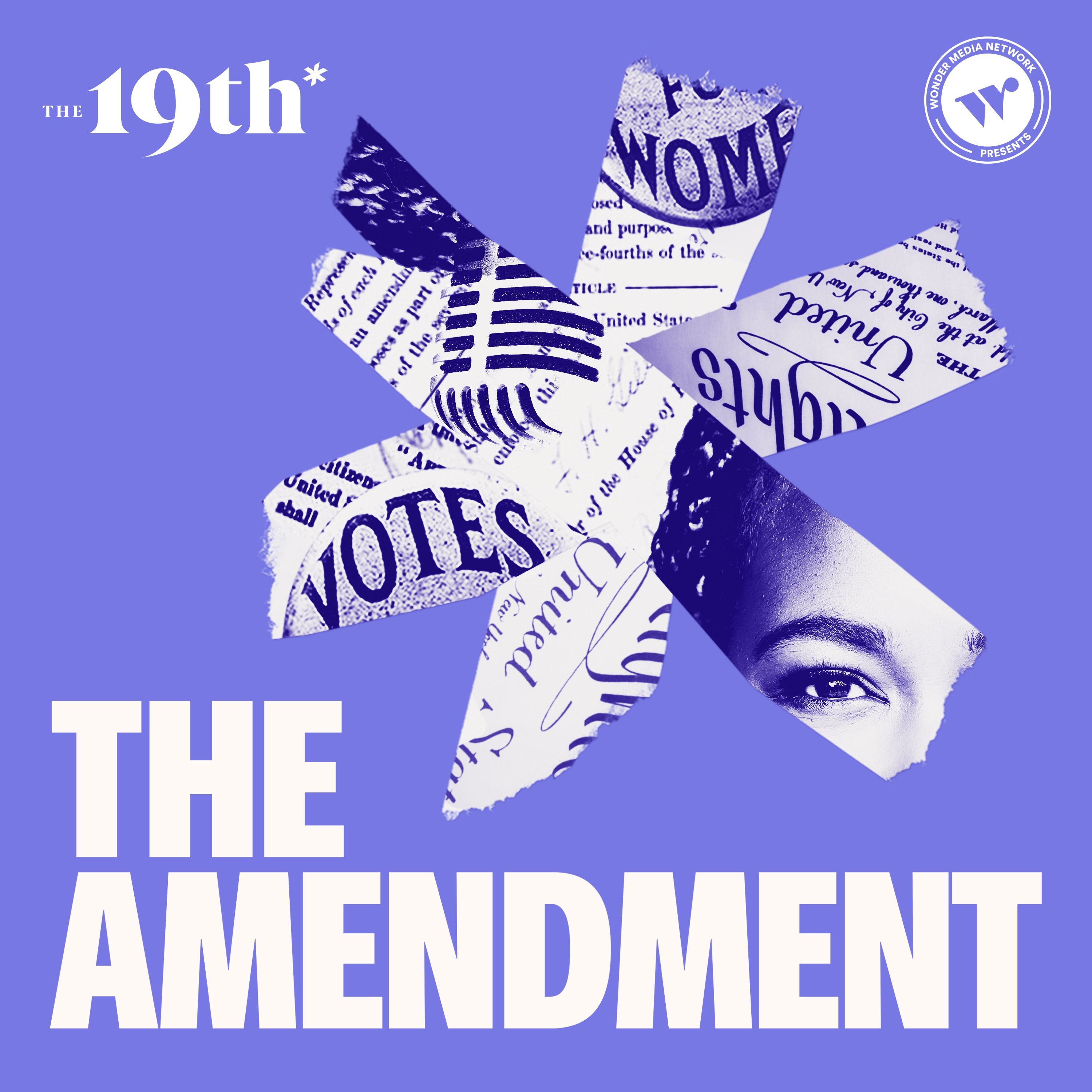 The Brown Girls Guide to Politics