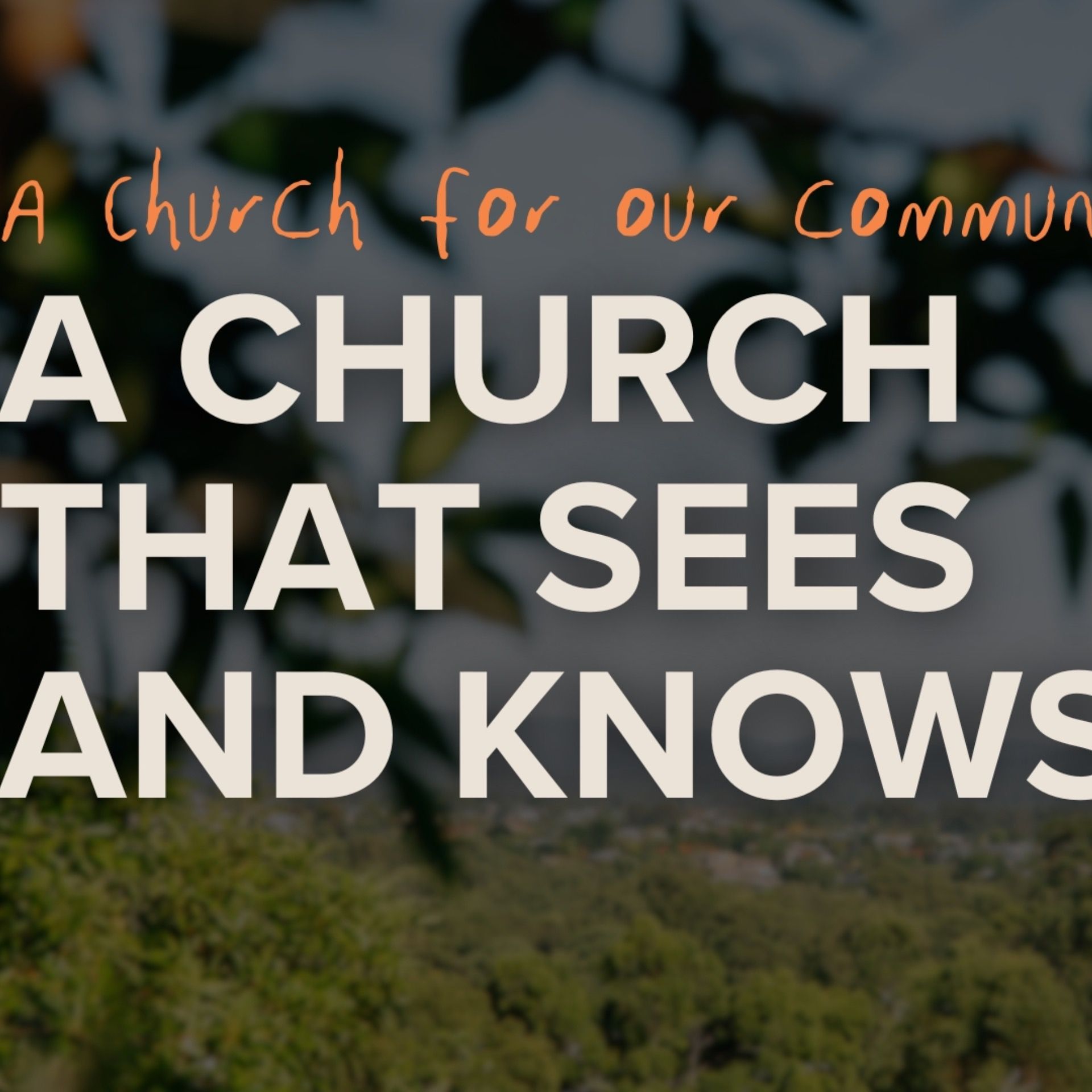 A Church For Our Community: A Church That Sees and Knows