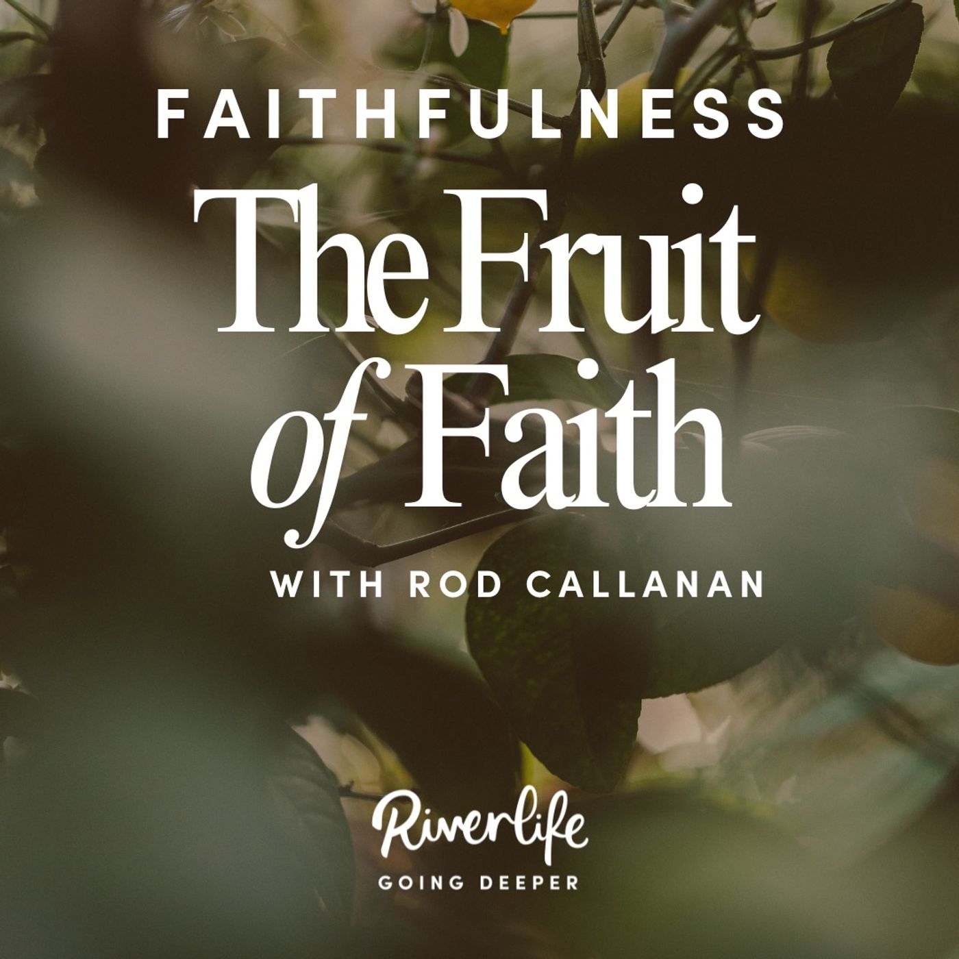 The Fruit of Faith: Faithfulness with Rod Callanan