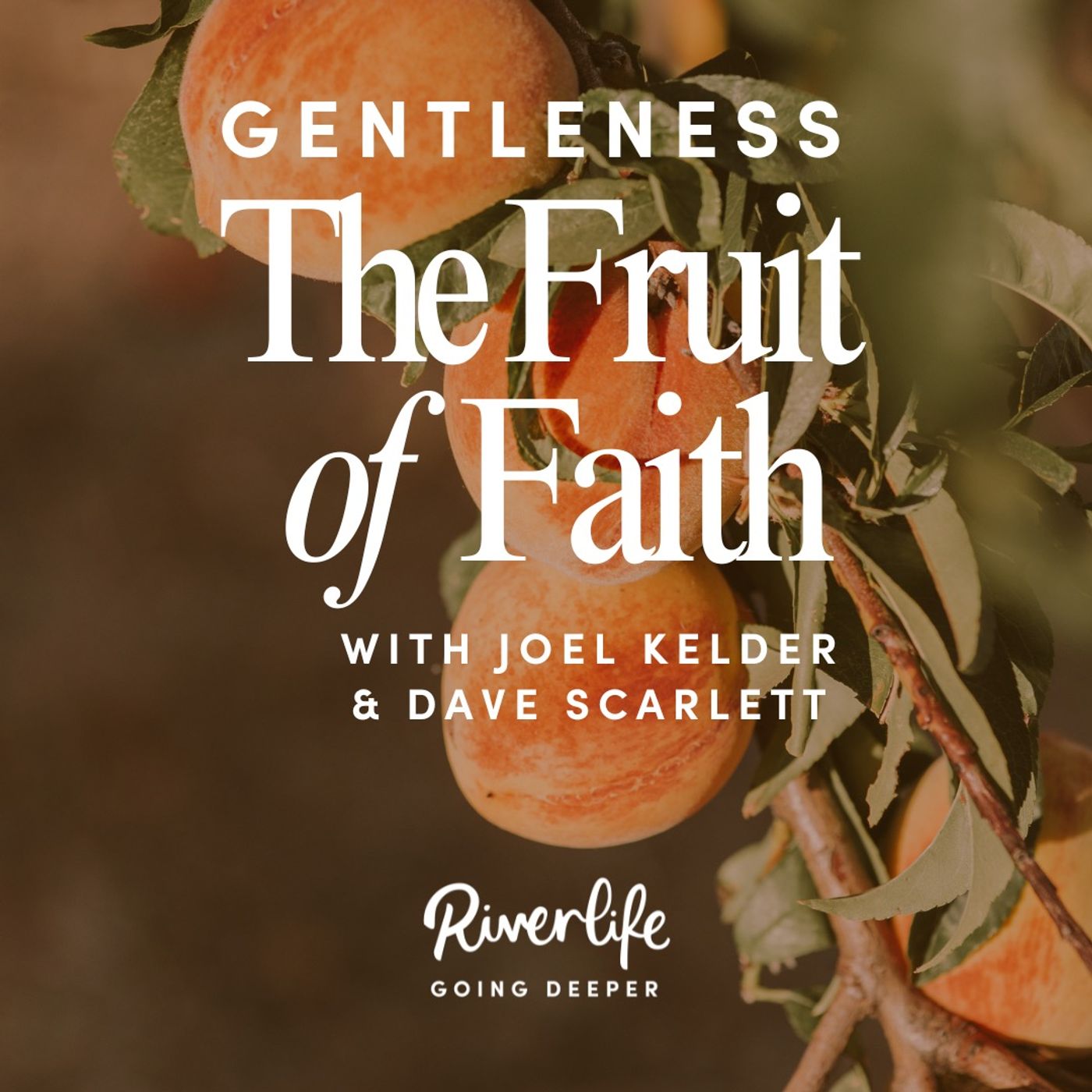 The Fruit of Faith: Gentleness with Joel Kelder & Dave Scarlett