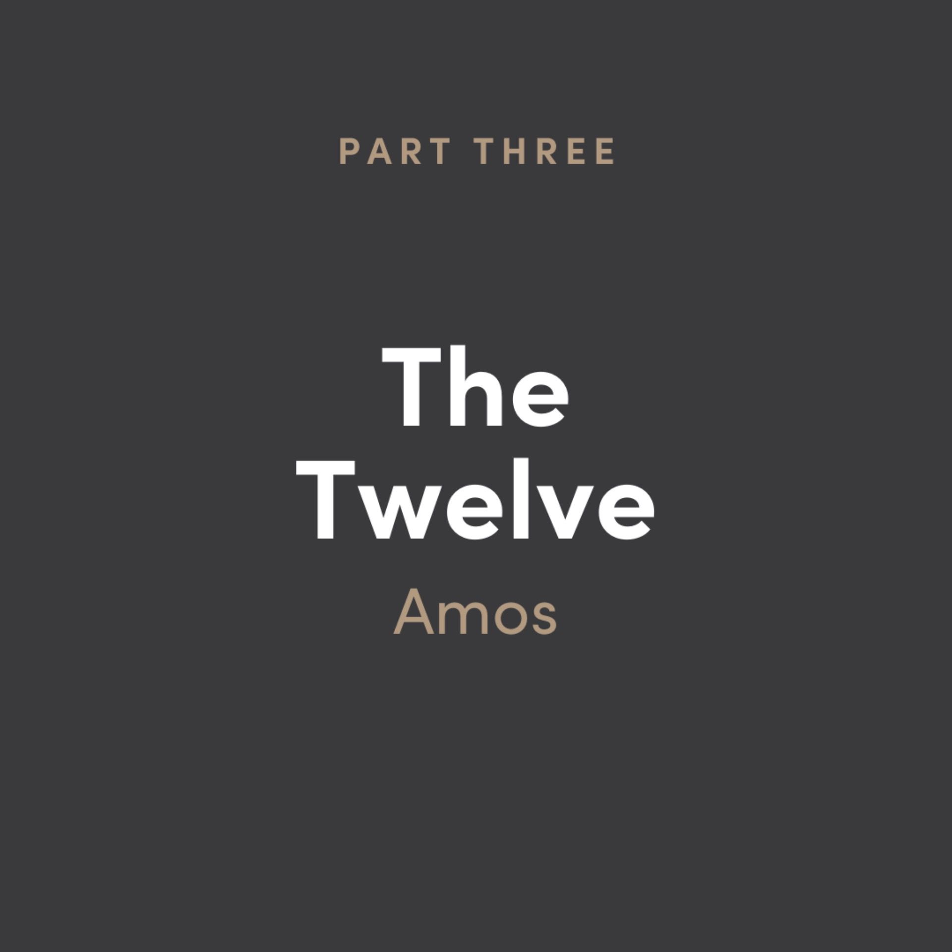 The 12: Amos