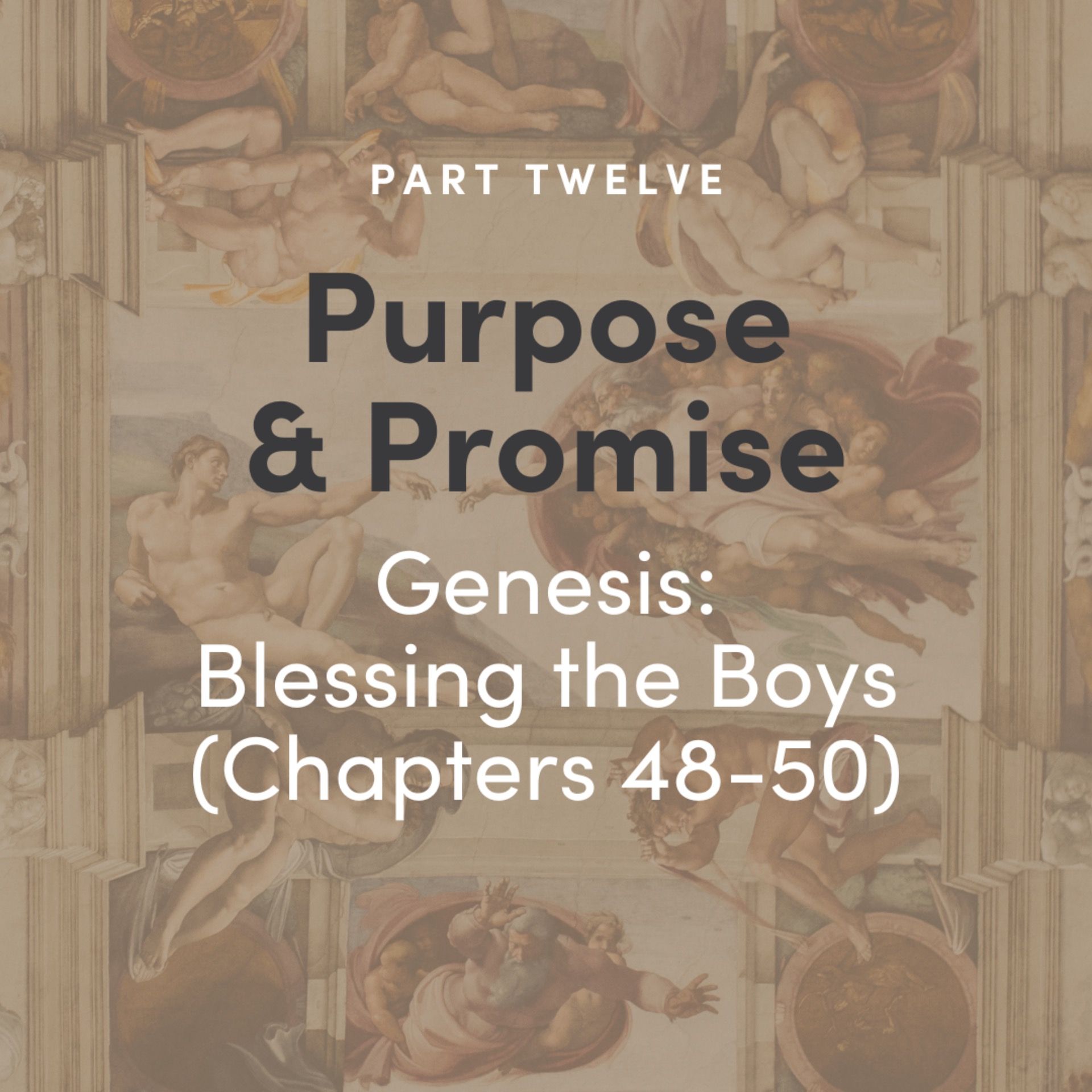 Purpose & Promise 12 - Genesis: Blessing the Boys (Ch 48-50)