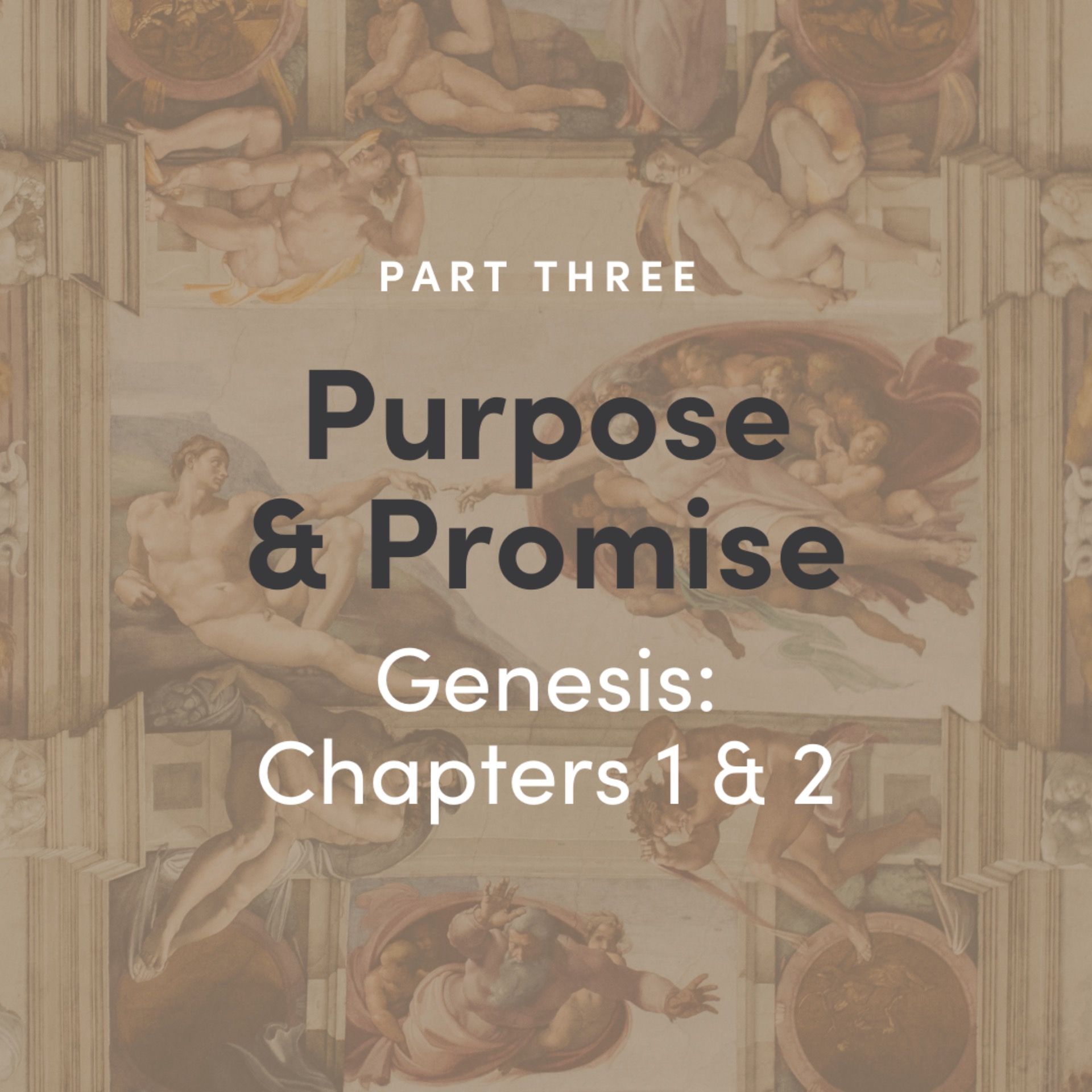 Purpose & Promise 3 - Genesis: Chapter 1&2