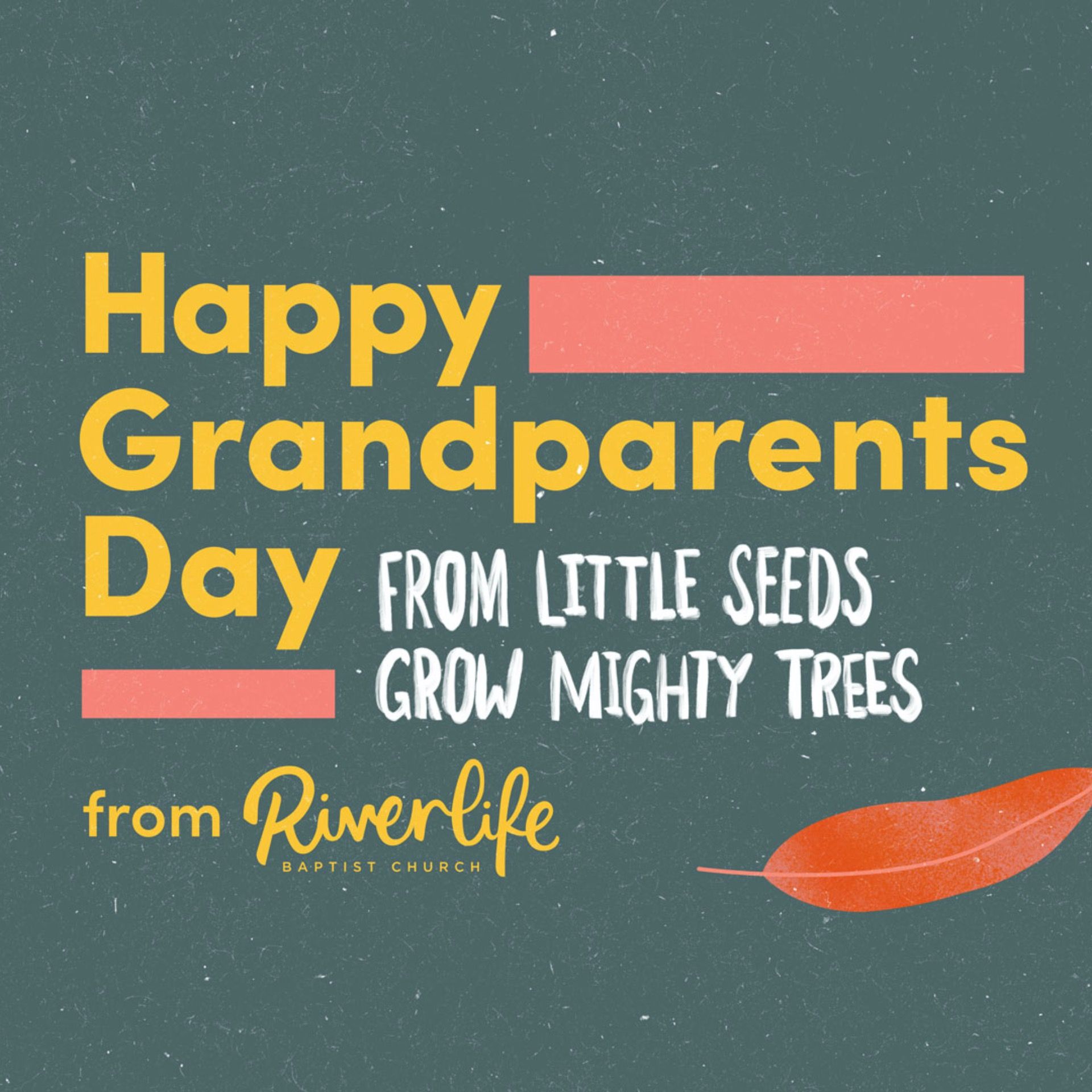 From Little Seeds Grow Mighty Trees