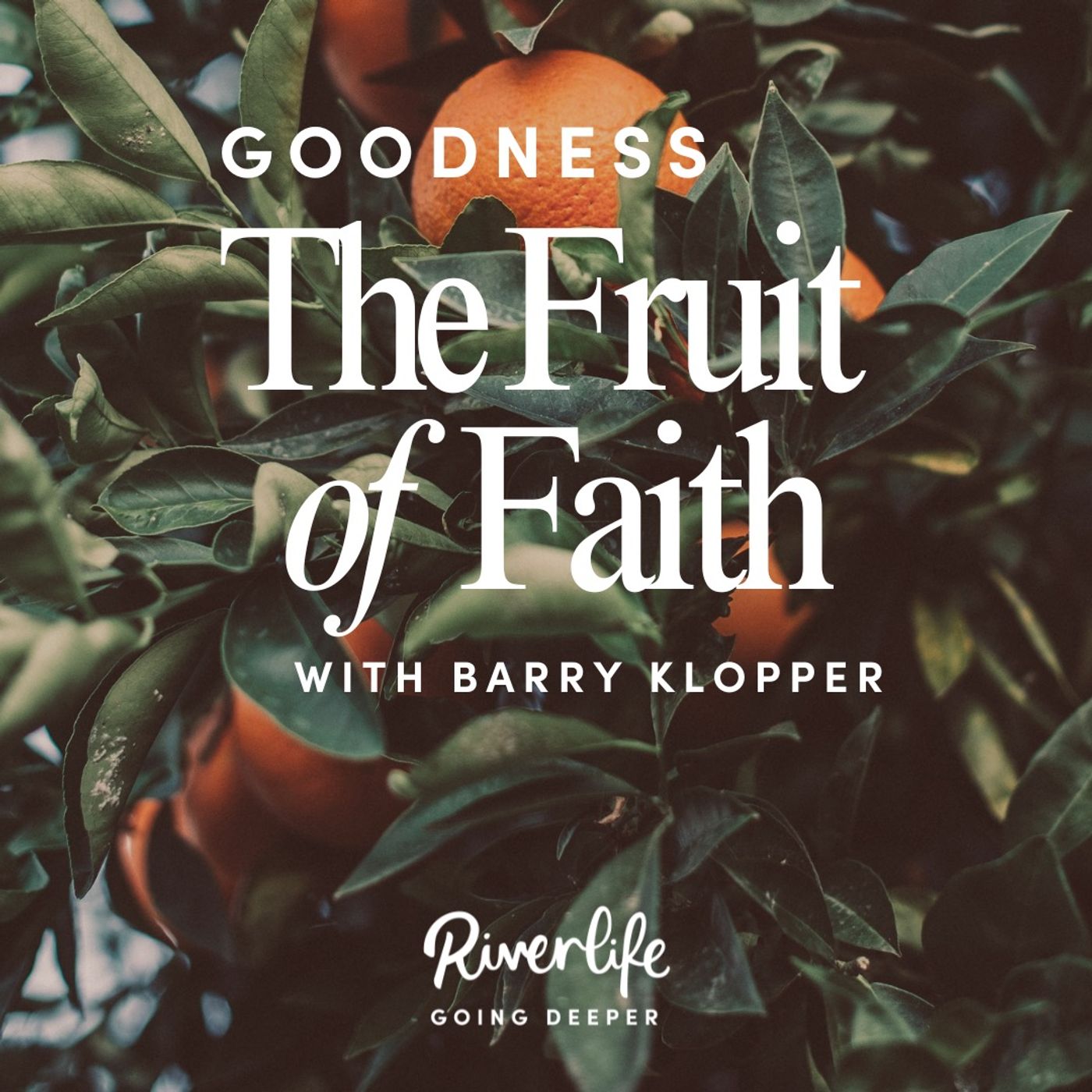 The Fruit of Faith: Goodness with Barry Klopper