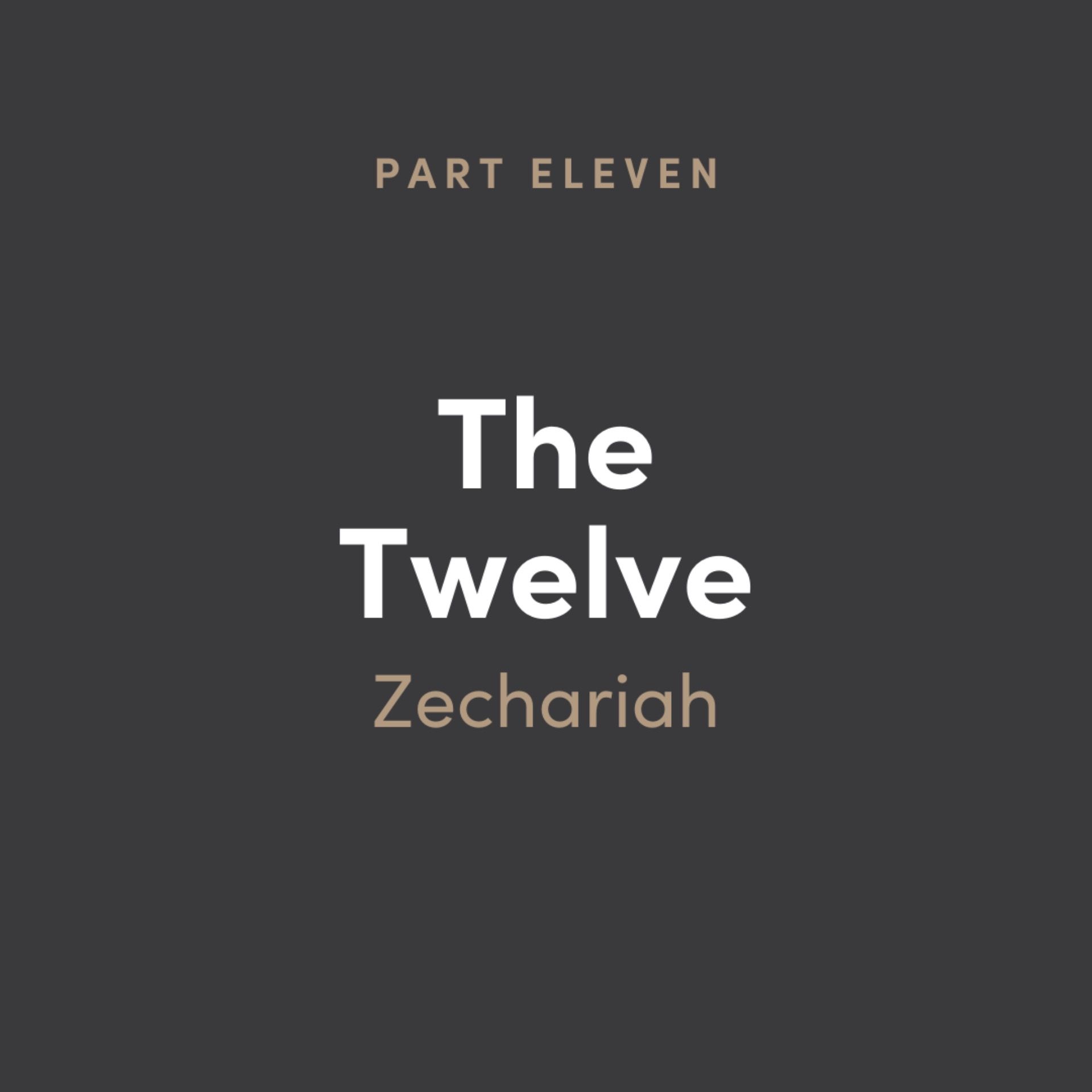 The 12: Zechariah