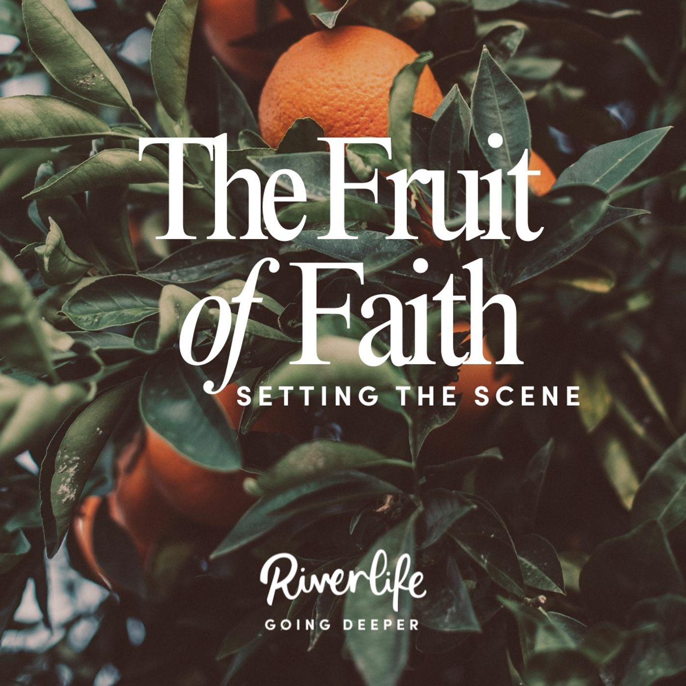 The Fruit of Faith: Setting the Scene