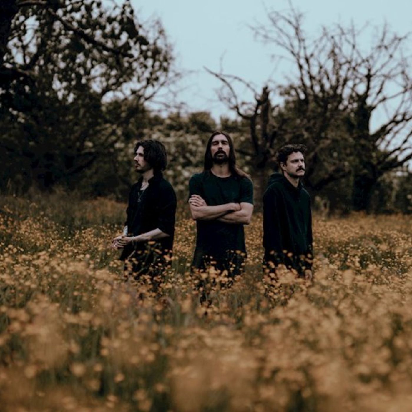 Stefan De Graef of Psychonaut Stefan De Graef of Psychonaut