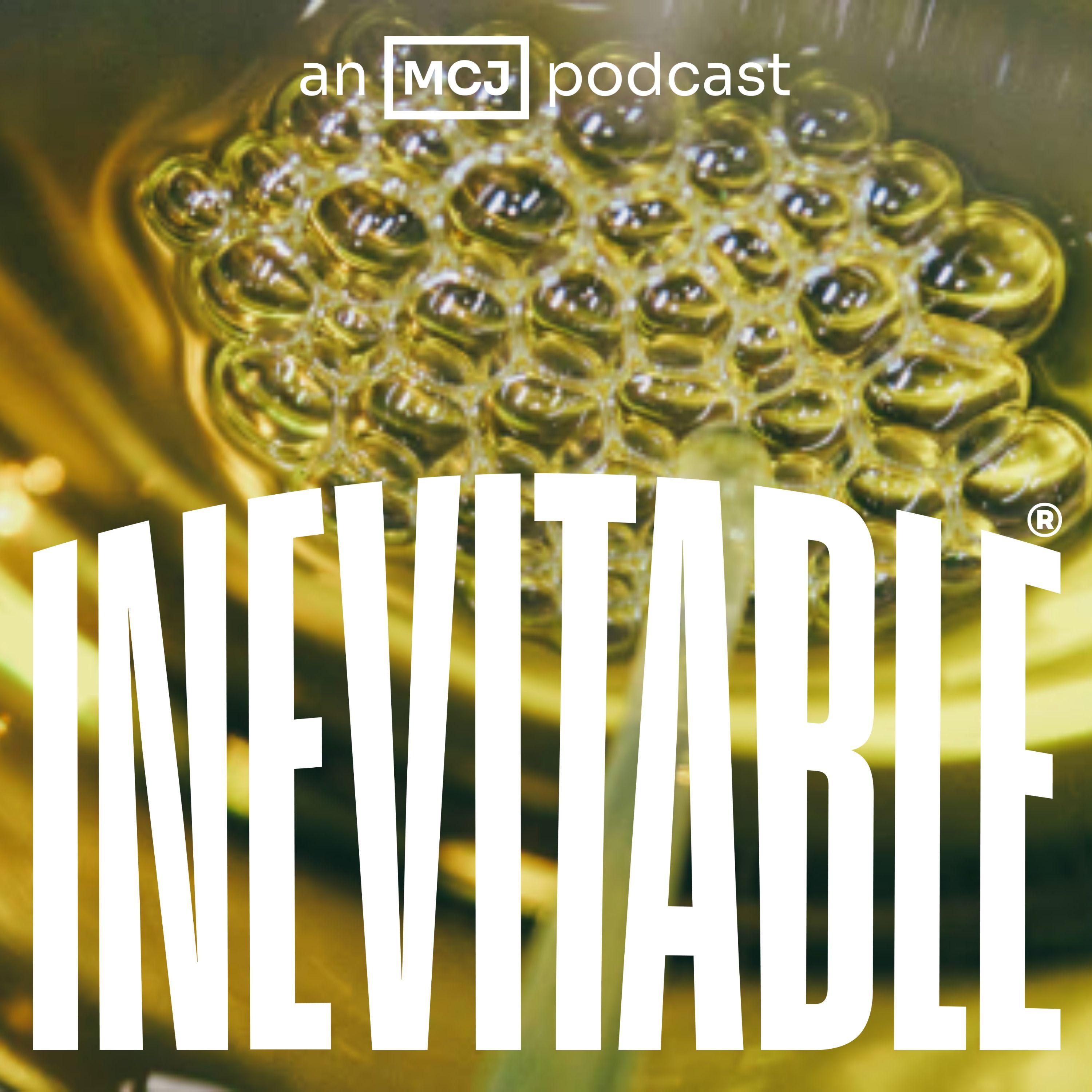 The Domestic Premium: Can American Manufacturing Compete? Episode cover