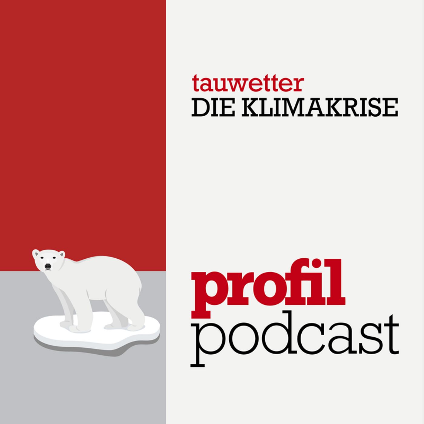 Zur Frage der Nation. Der profil-Politikpodcast