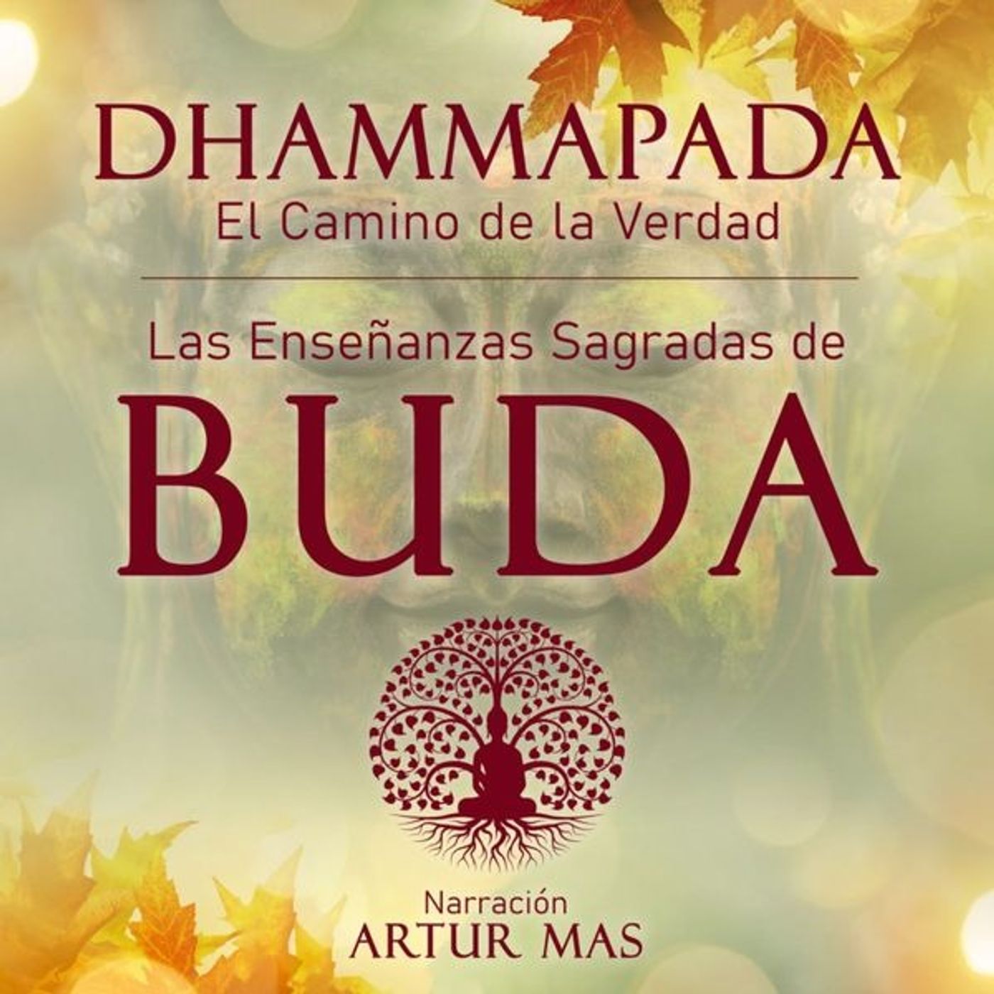 Dhammapada "El Camino de la Verdad": Las Enseñanzas Sagradas de Buda episode artwork