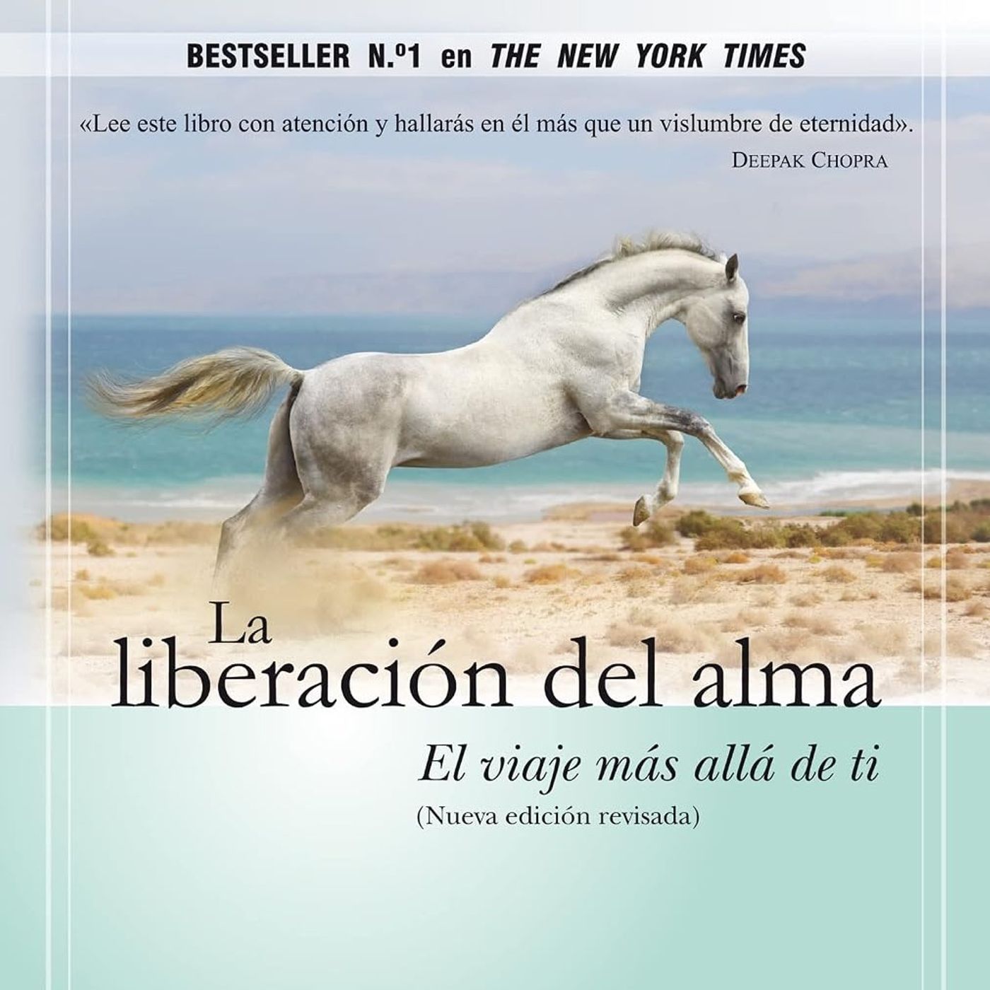 La liberación del alma: El viaje más allá de ti - Michael A. Singer