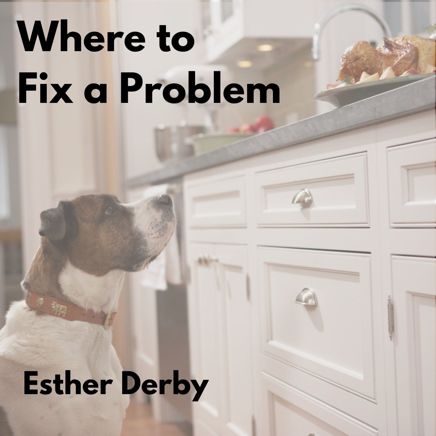 Where to Fix a Problem episode artwork
