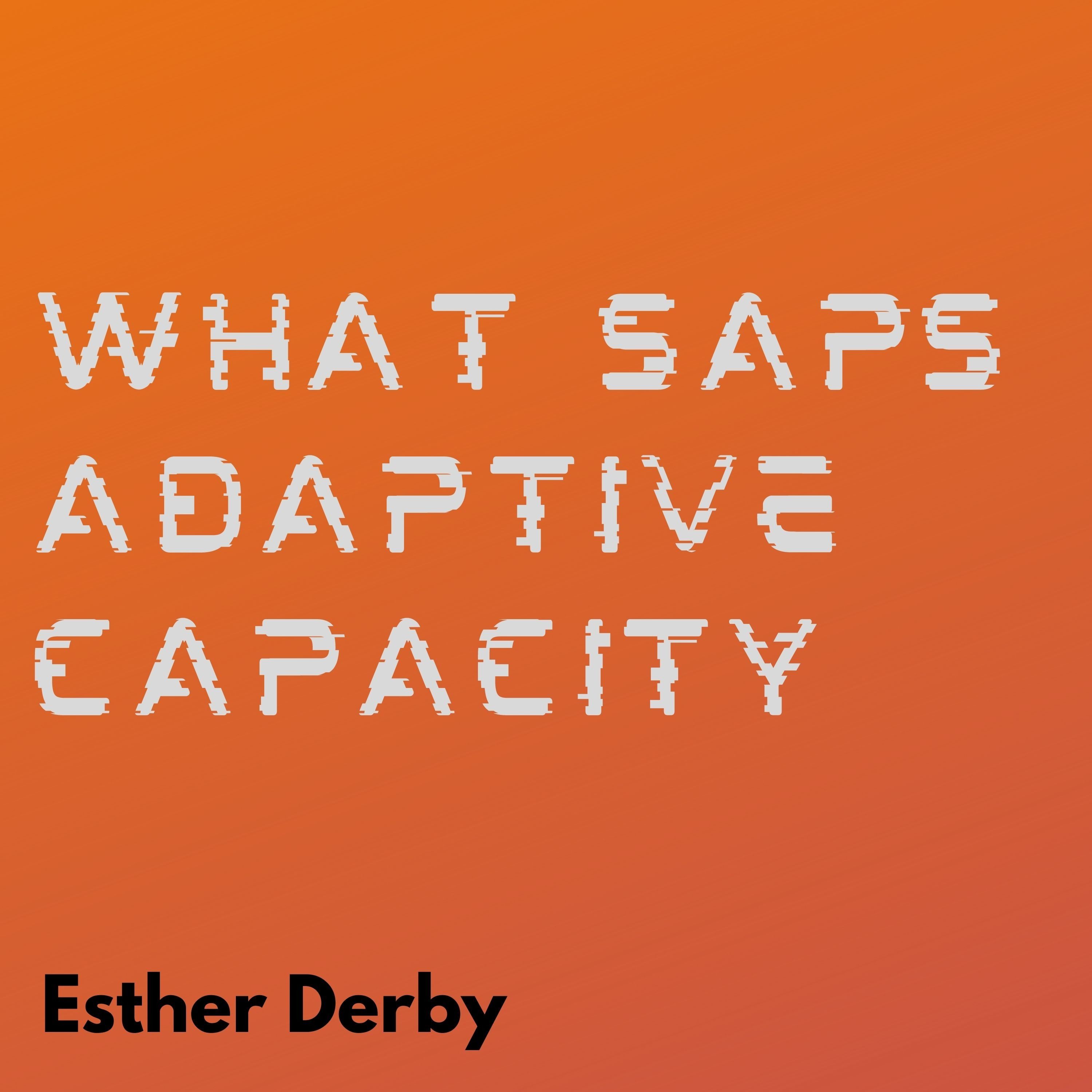 Adaptive Capacity
