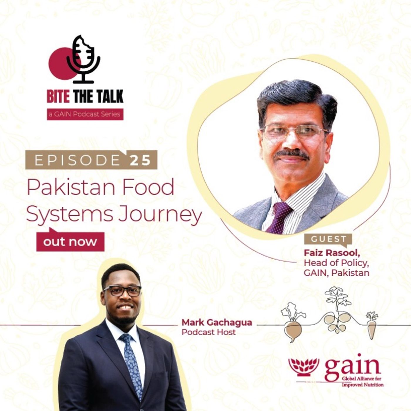 Pakistan Food Systems Journey