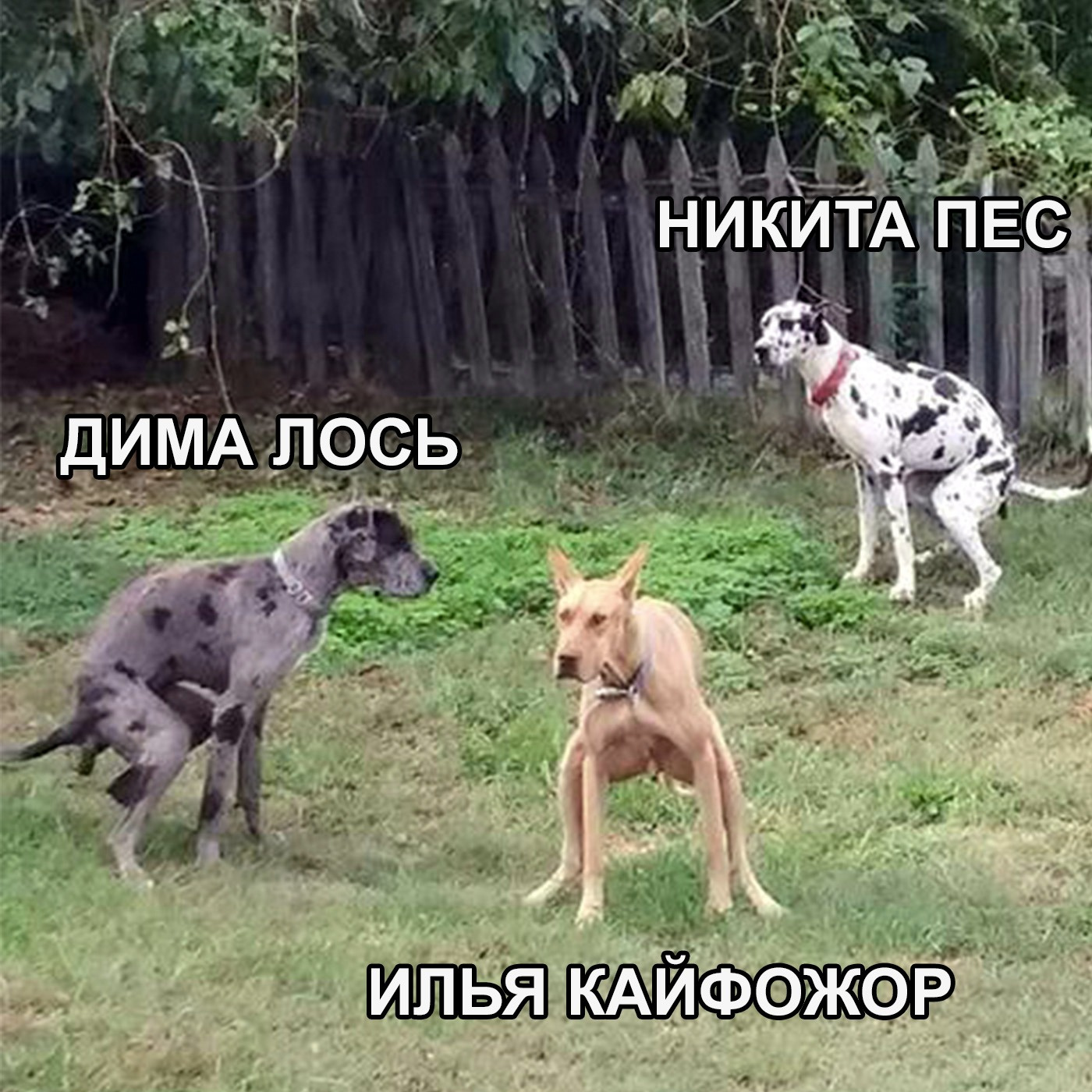 Сезон 2, выпуск 14 — финал второго сезона