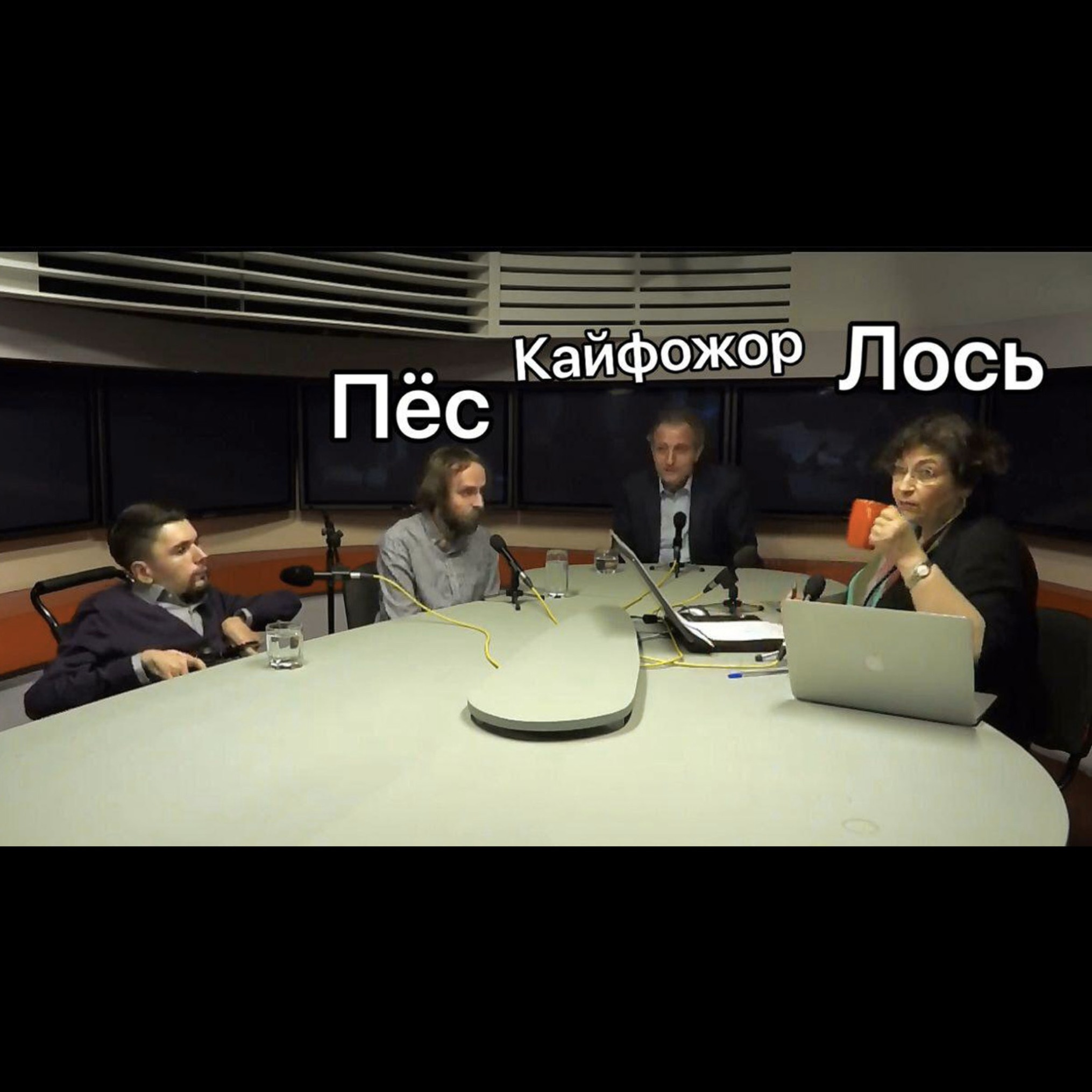 Выпуск 8: Сталингулаг, Соник, Росгвардия и пр.