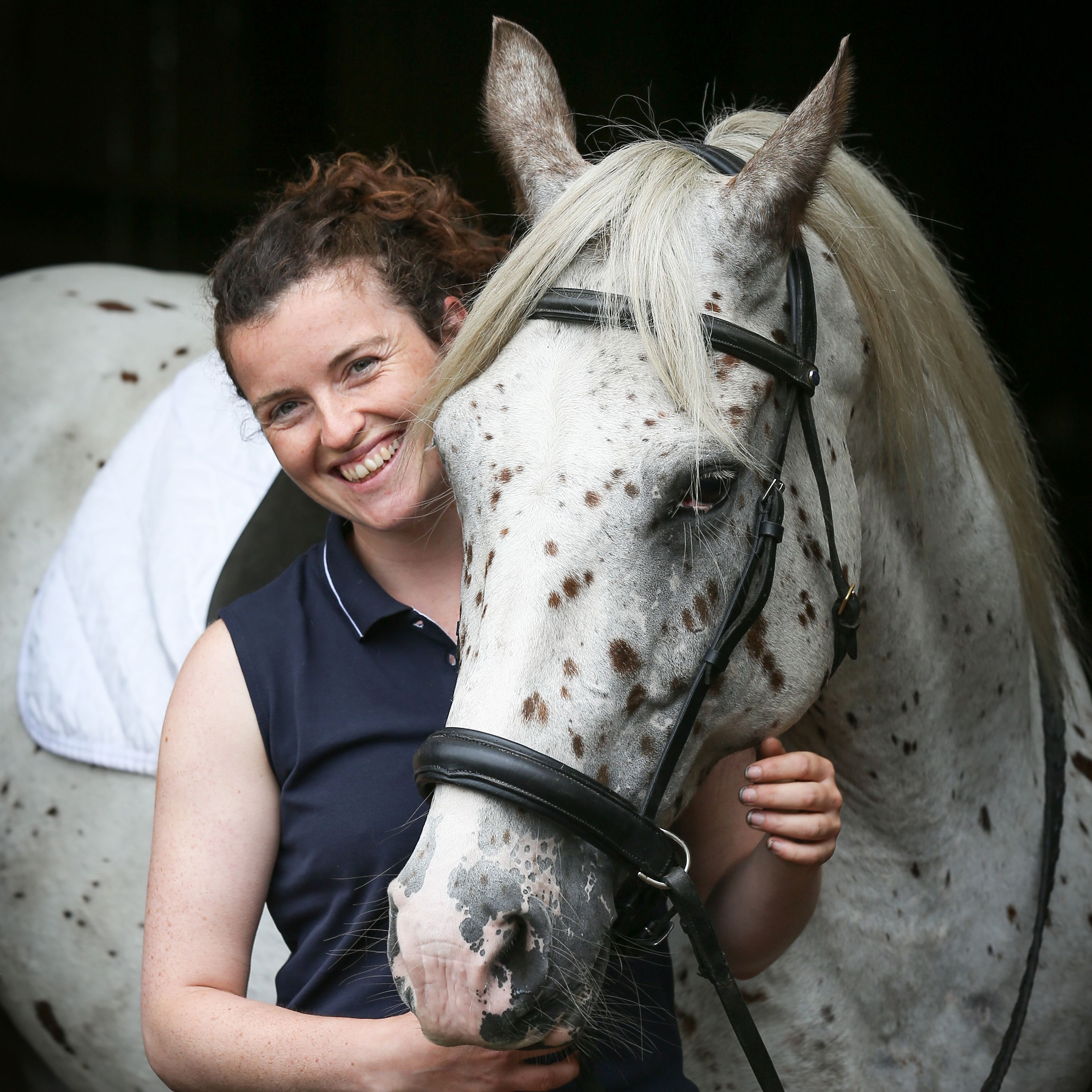 An Equine Conversation
