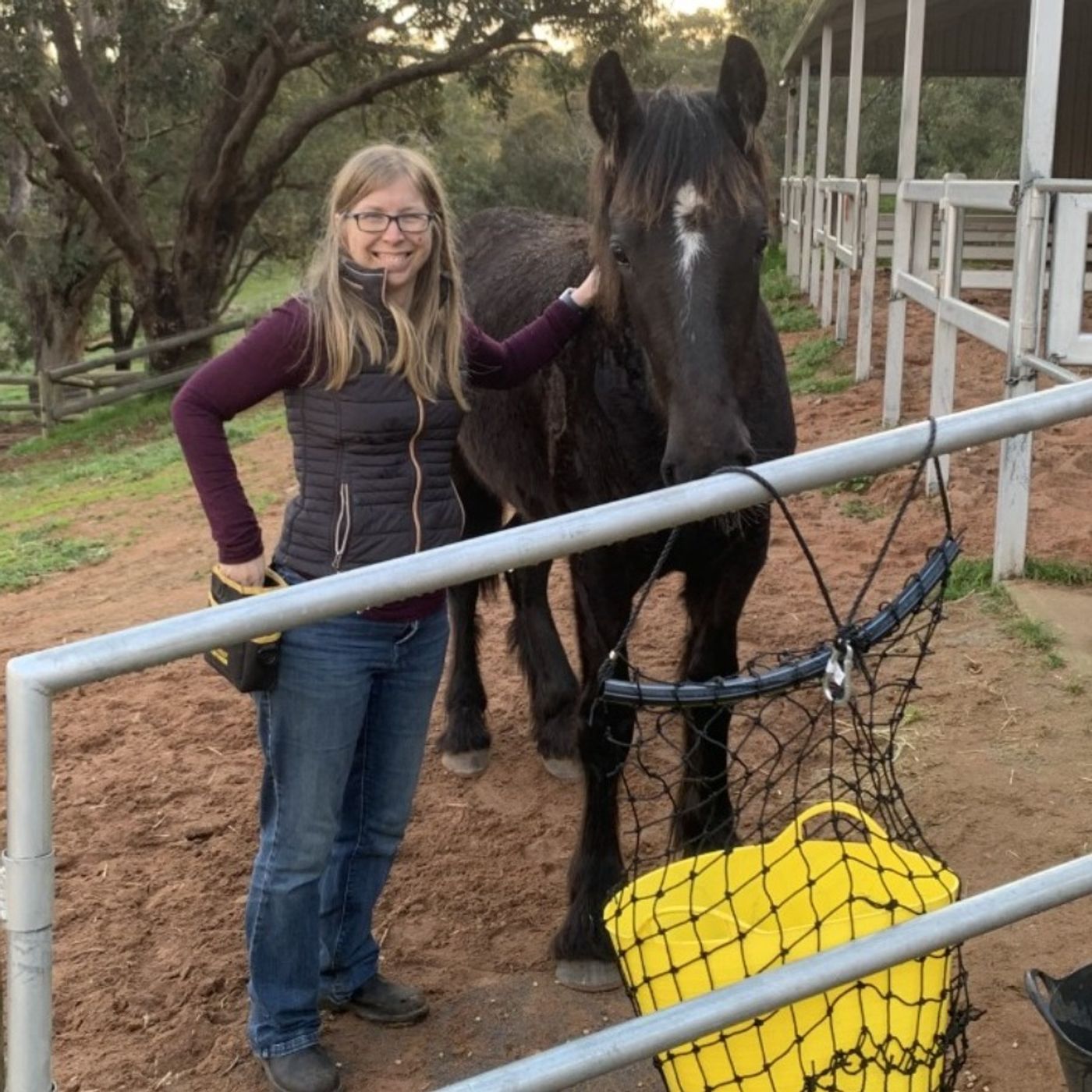 An Equine Conversation