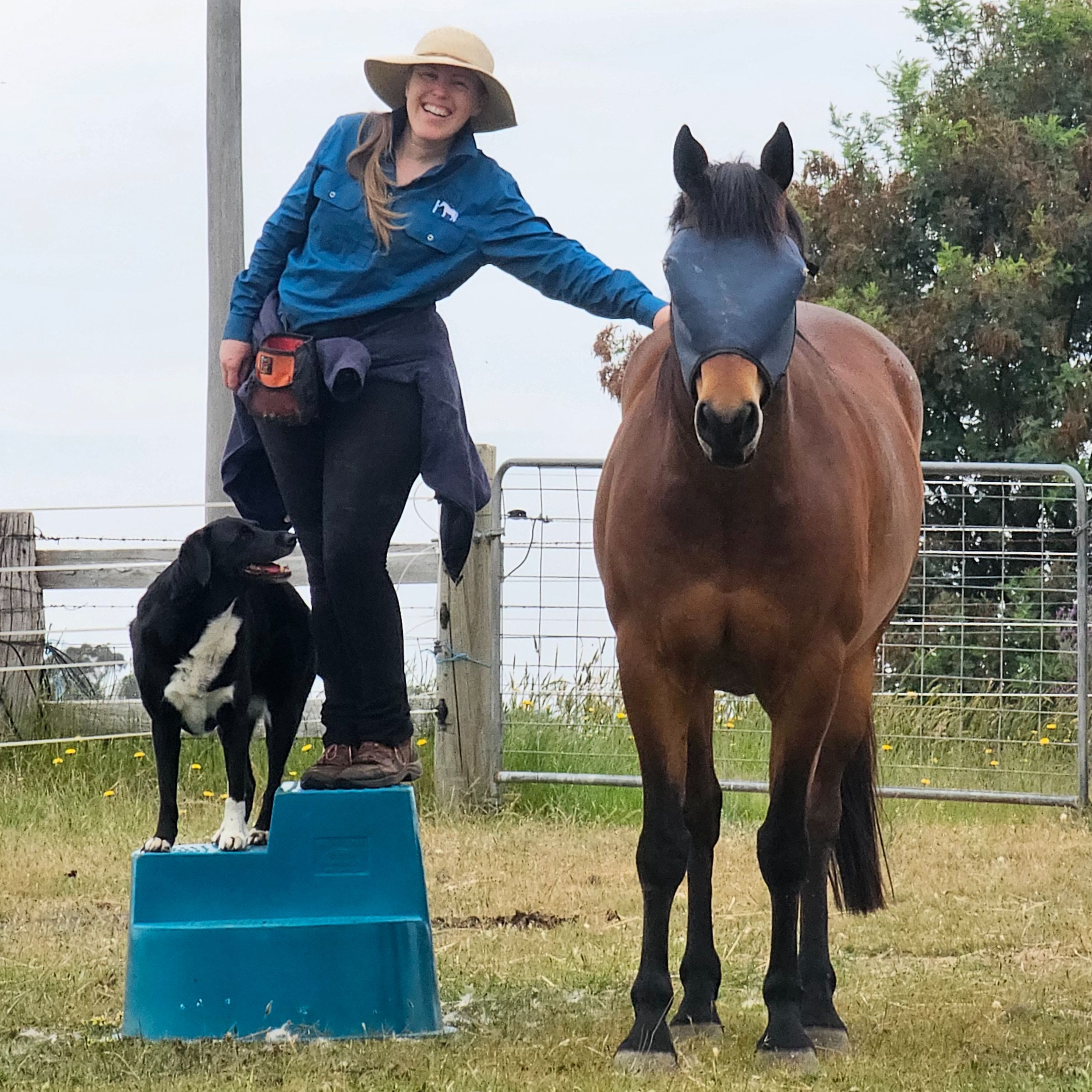 An Equine Conversation